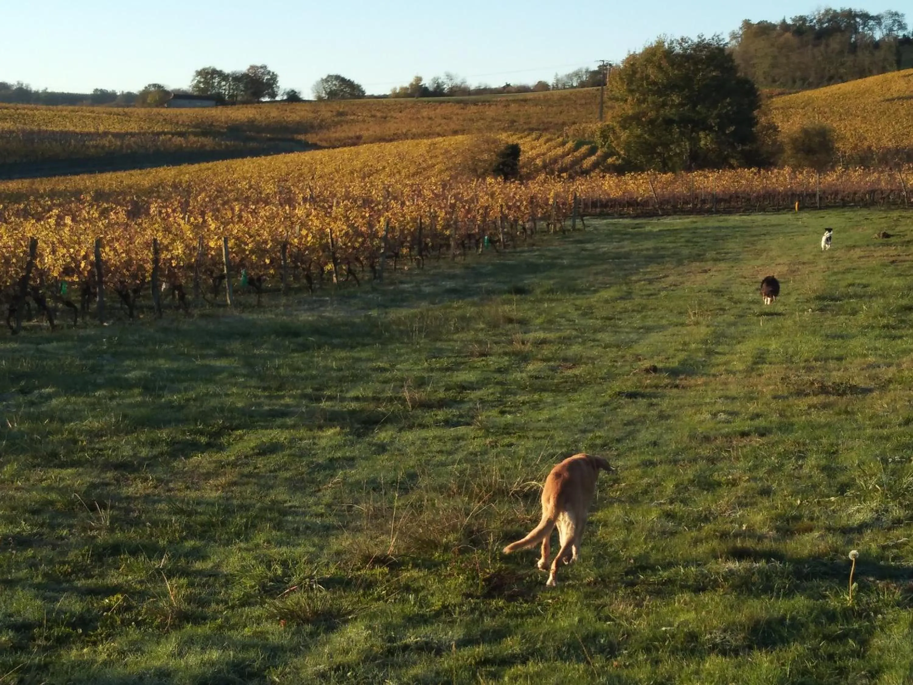 Activities in Viella Vacances