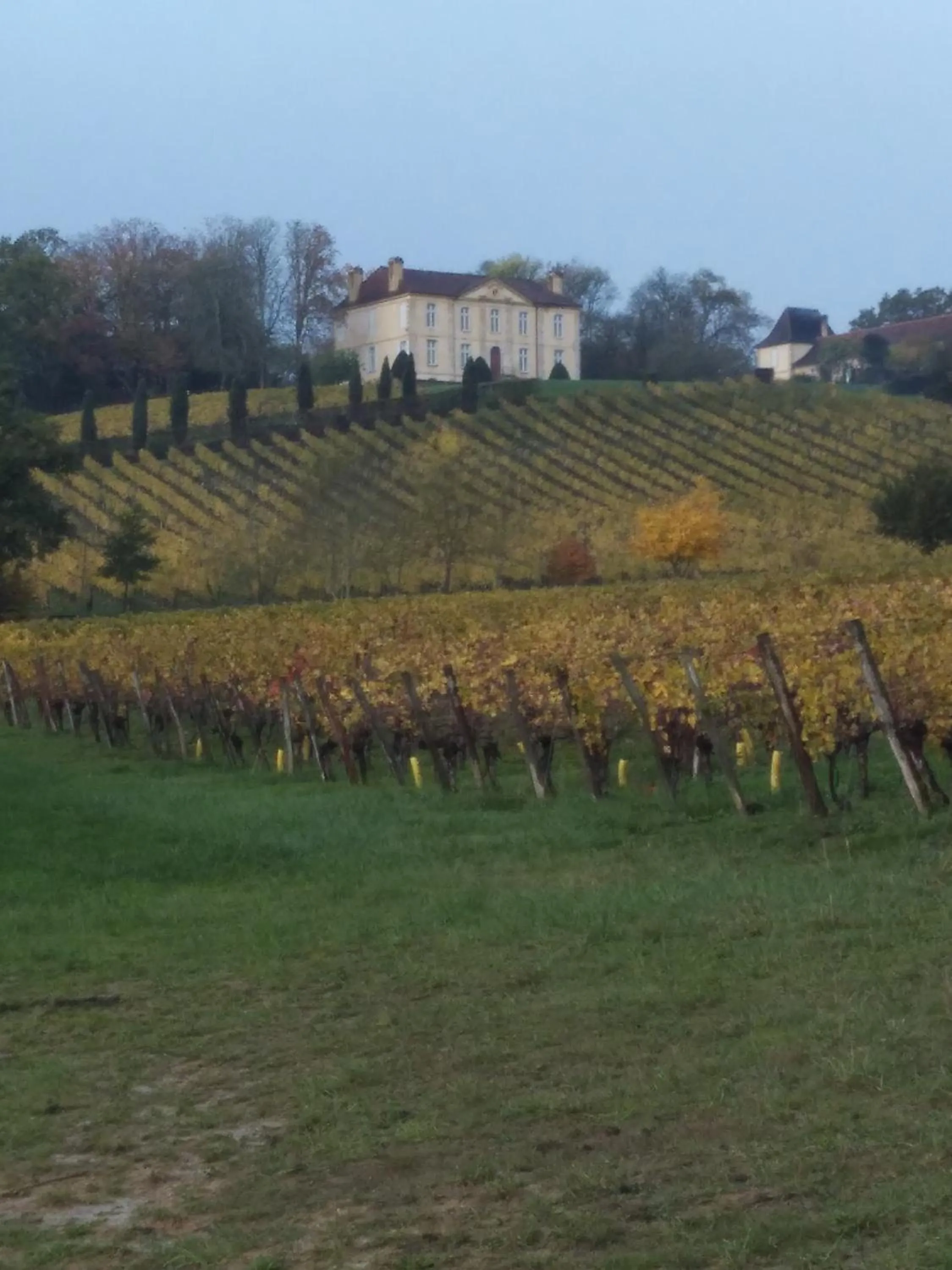 Activities in Viella Vacances