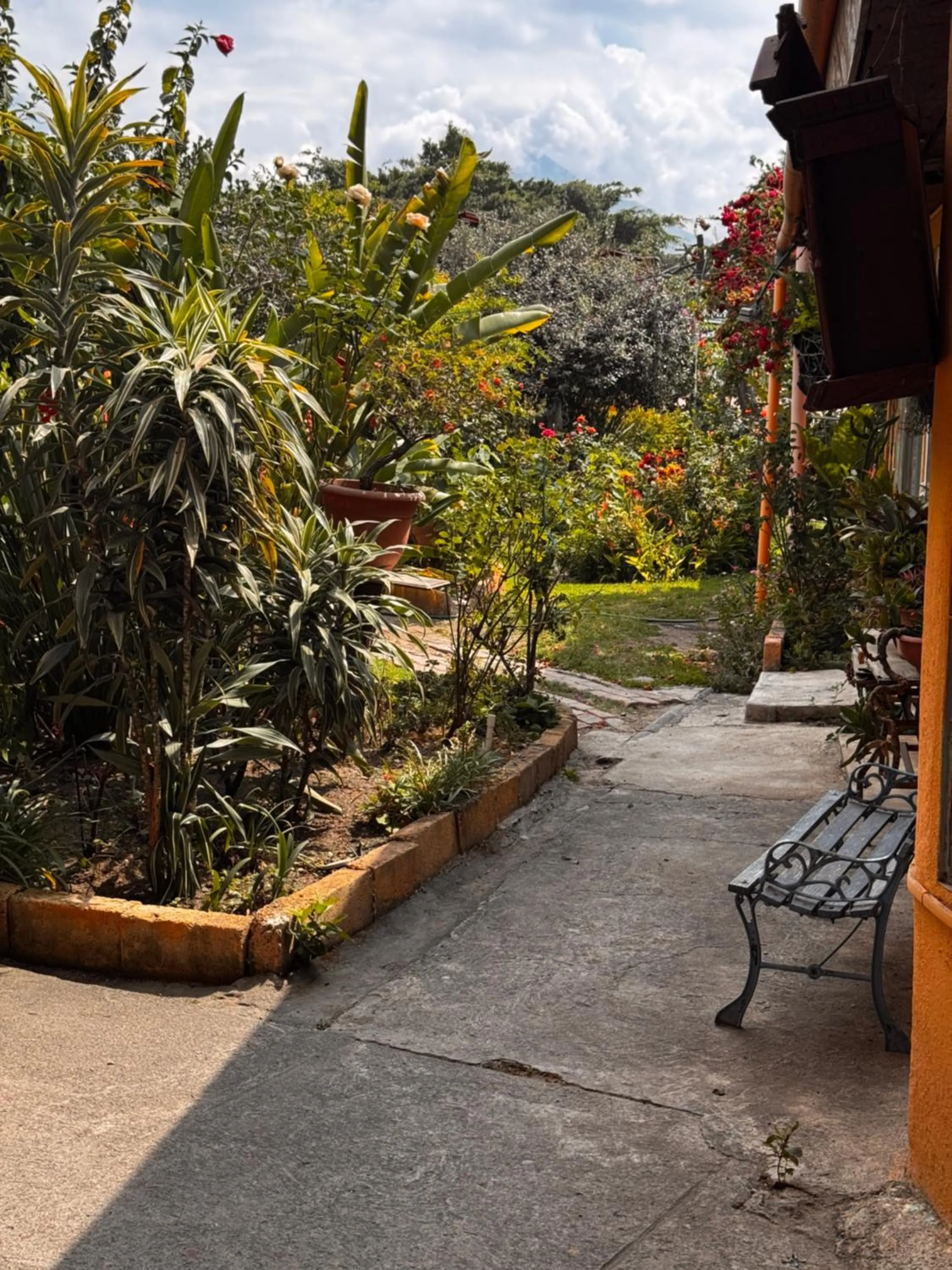 Garden in Hotel Hanna Resort