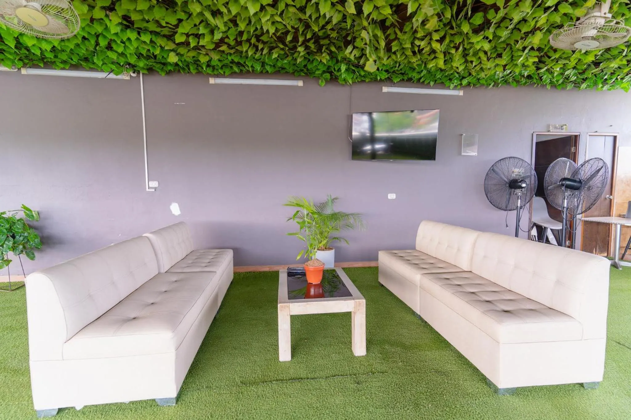 Balcony/Terrace in Hotel Plataneras Plaza