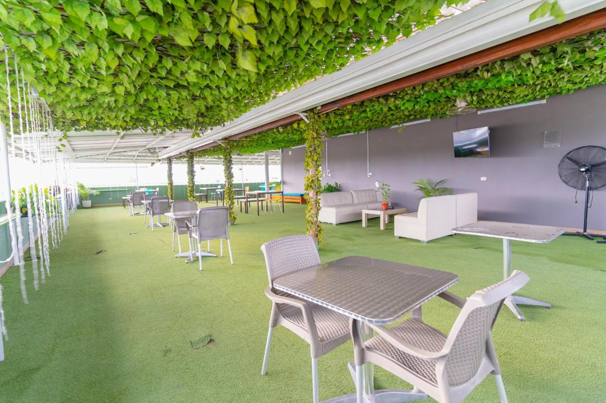 Balcony/Terrace in Hotel Plataneras Plaza