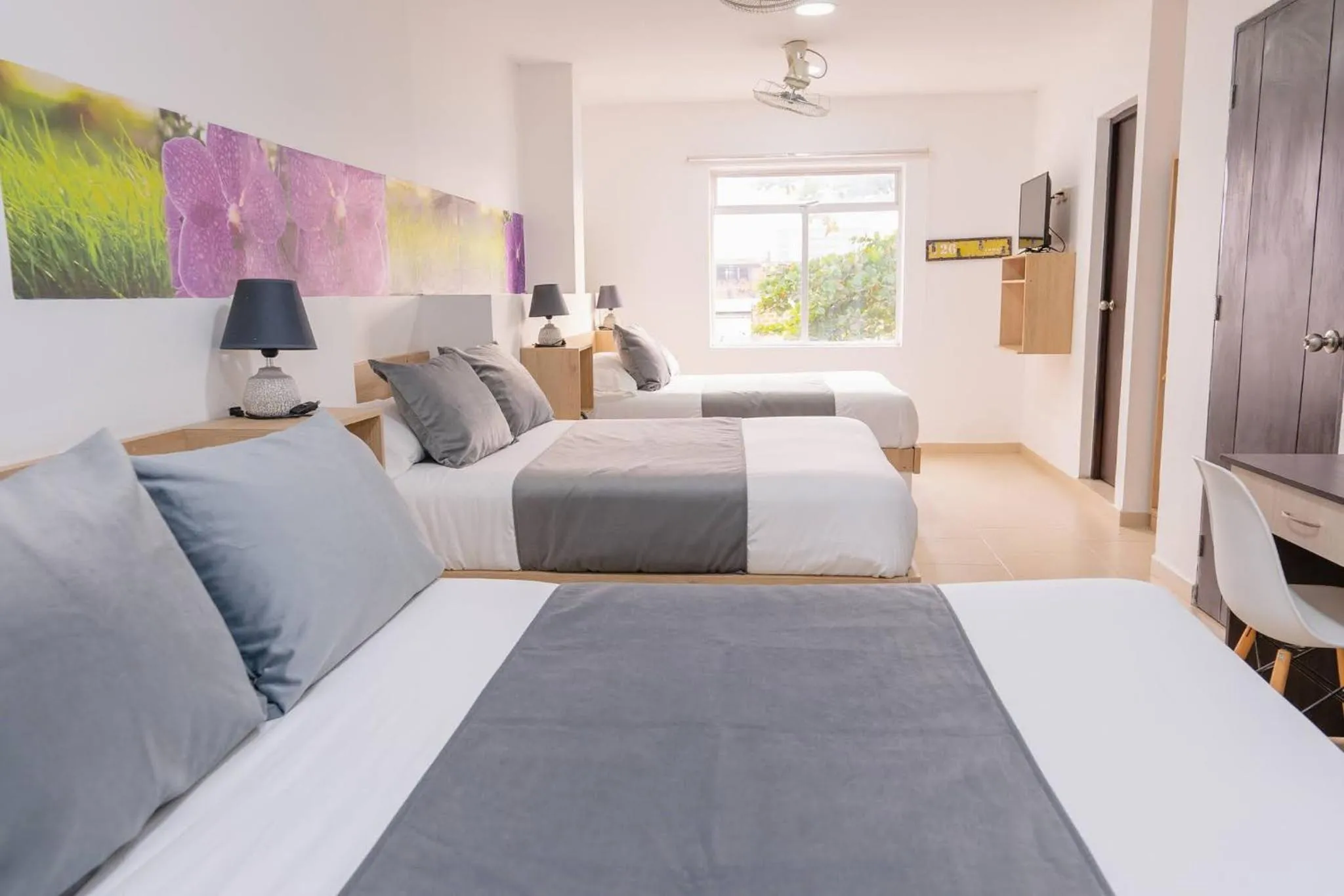 Photo of the whole room in Hotel Plataneras Plaza