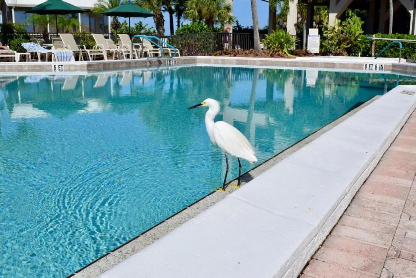 Caribbean Beach Club
