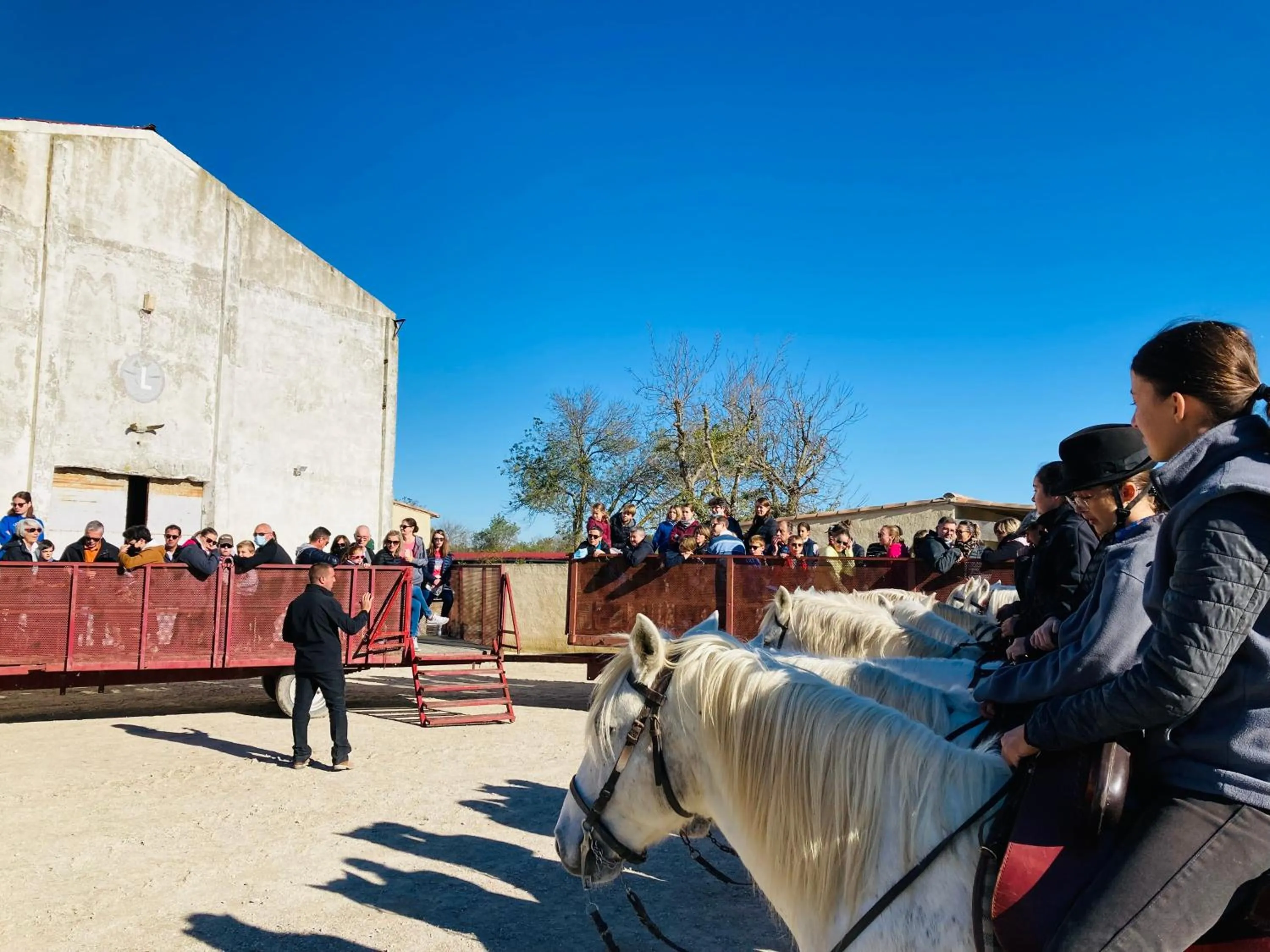 Entertainment in Manade des Baumelles