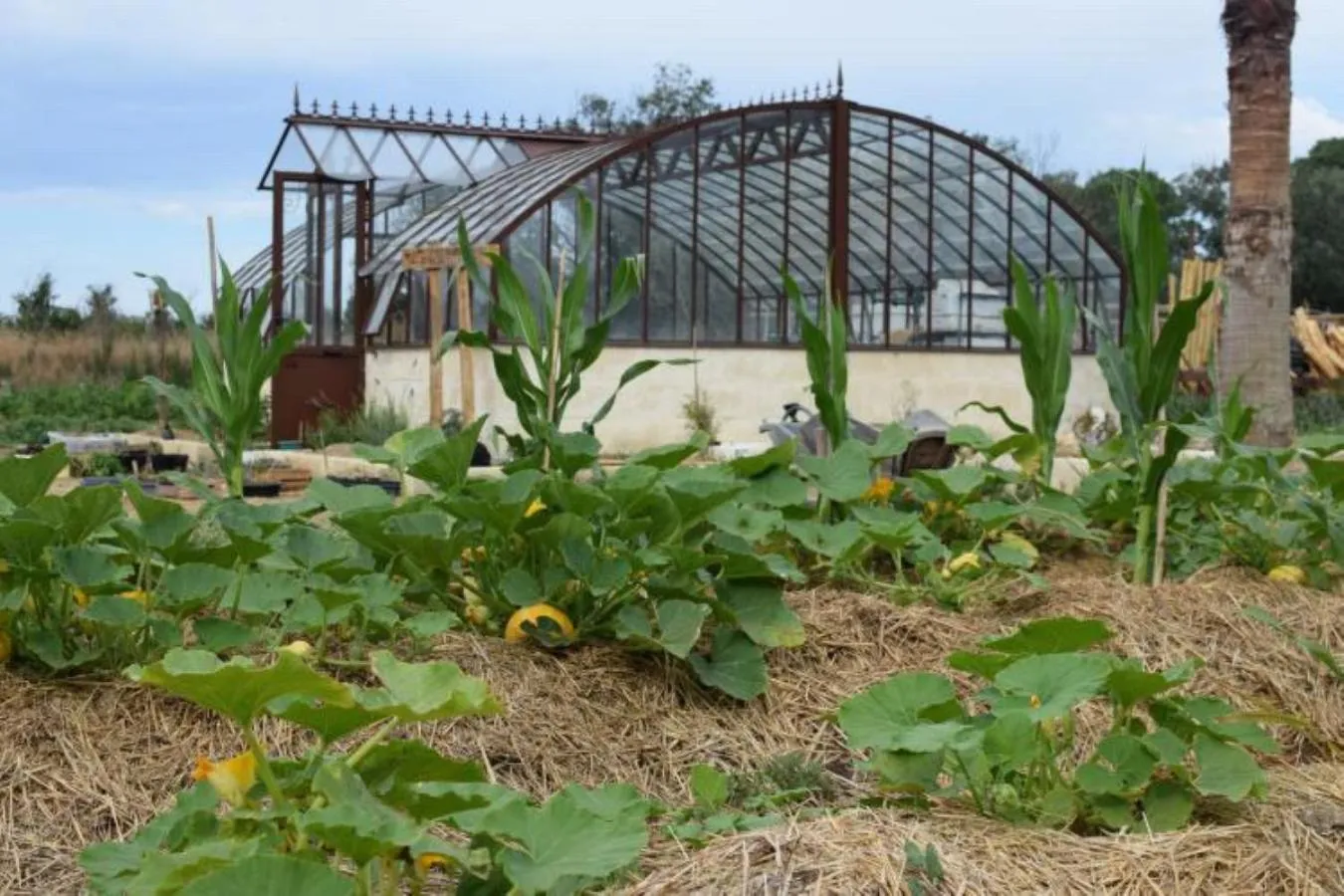 Garden in Manade des Baumelles