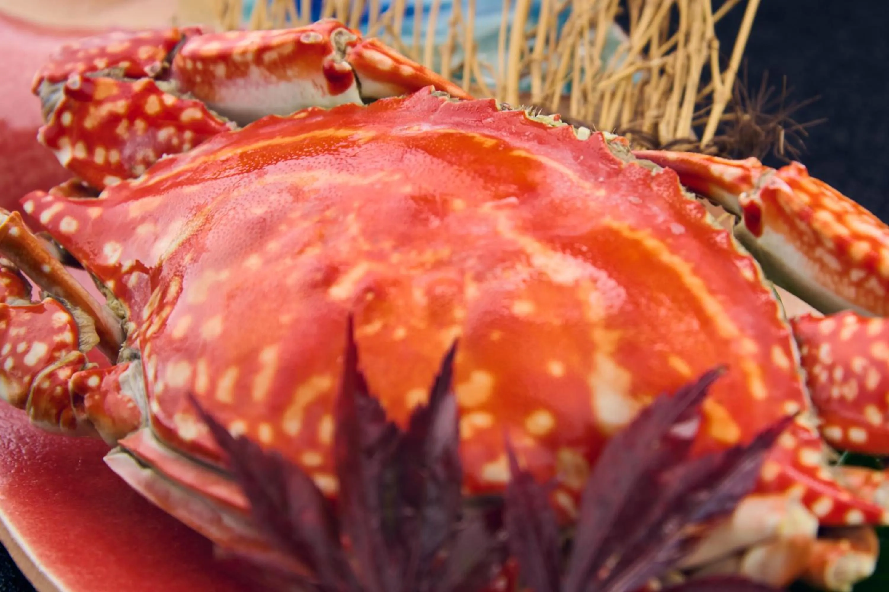 Food in Hotel Shosenkaku Romankan