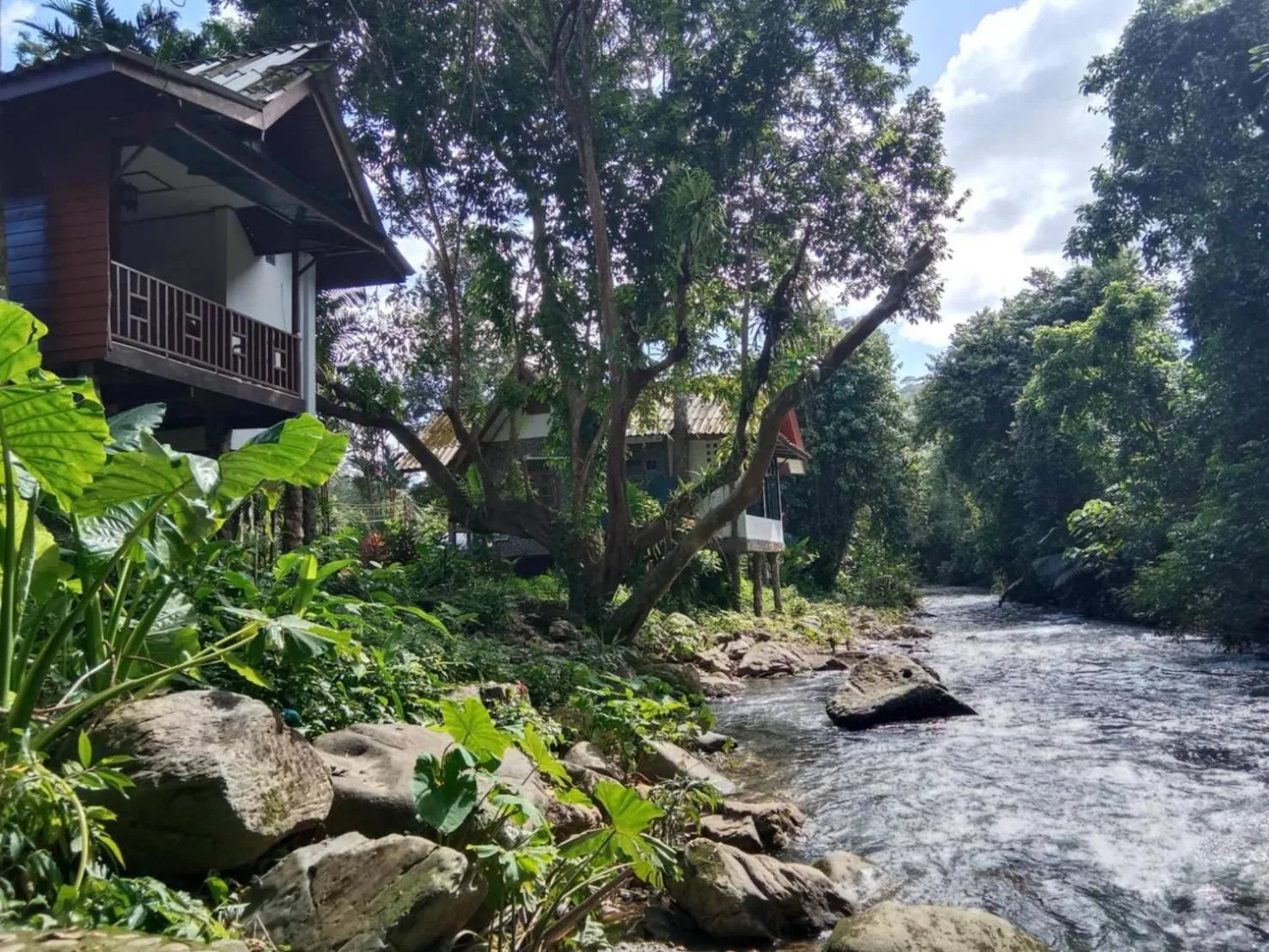 Tree Tops River Huts