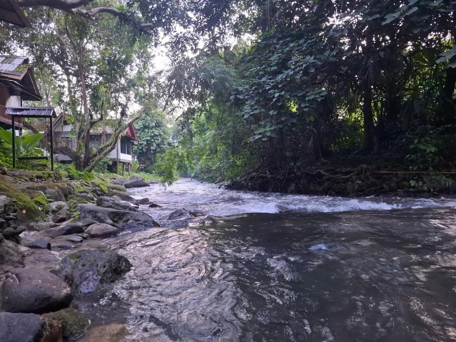 Tree Tops River Huts