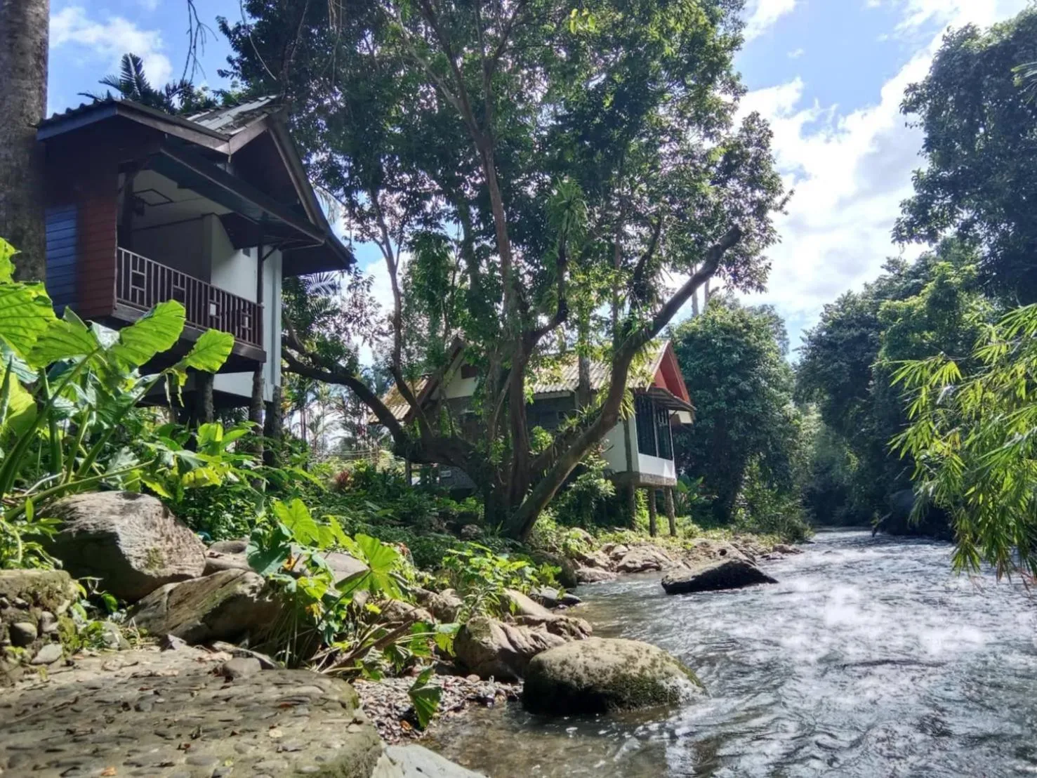 Tree Tops River Huts