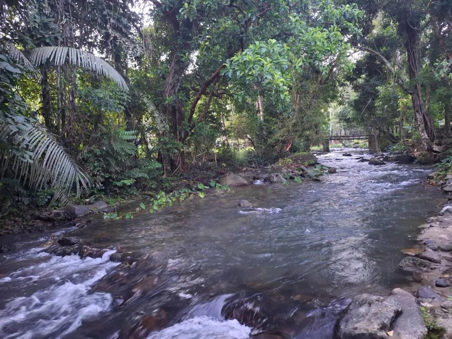 Tree Tops River Huts