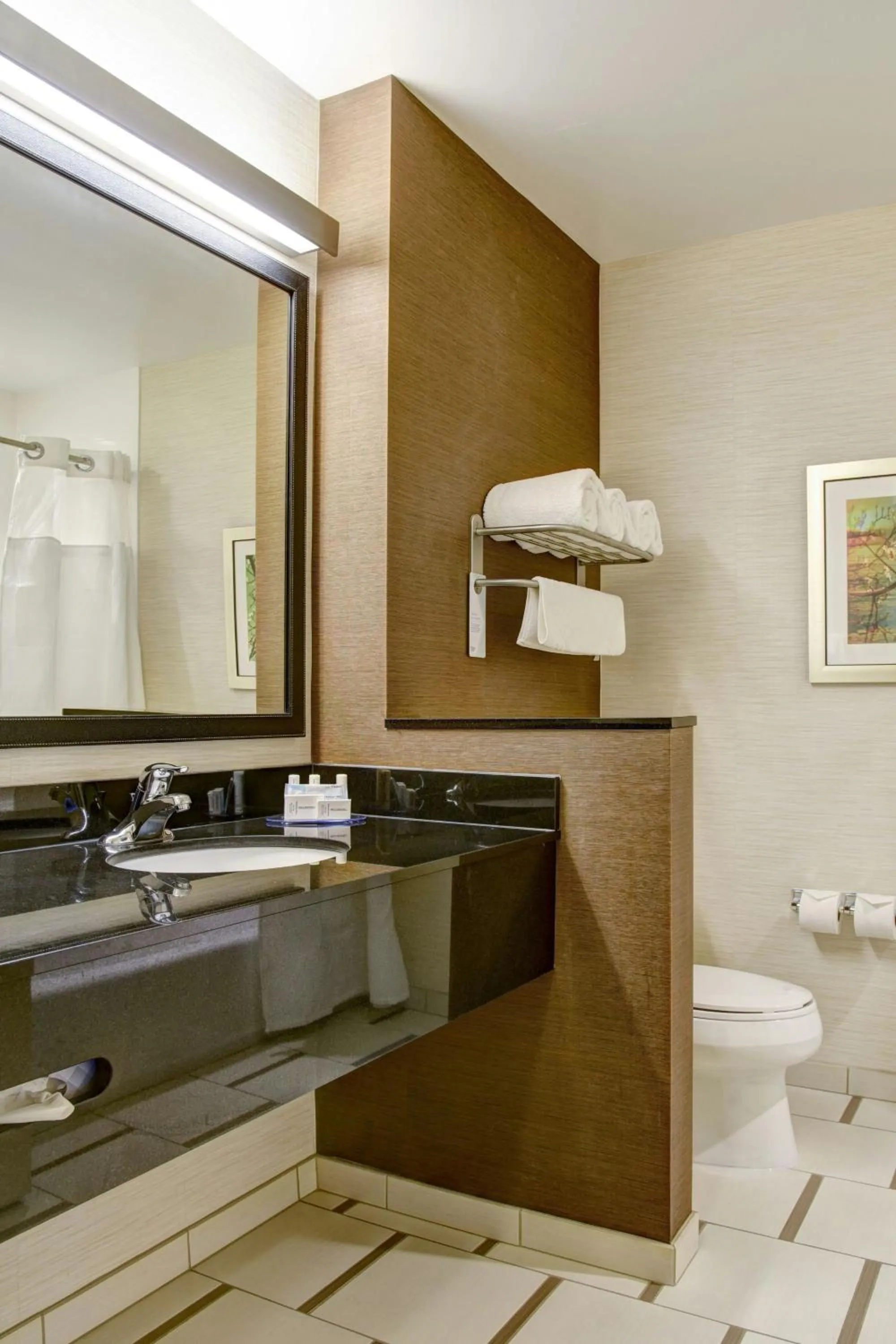 Bathroom in Fairfield Inn & Suites by Marriott Rochester Mayo Clinic Area/Saint Marys