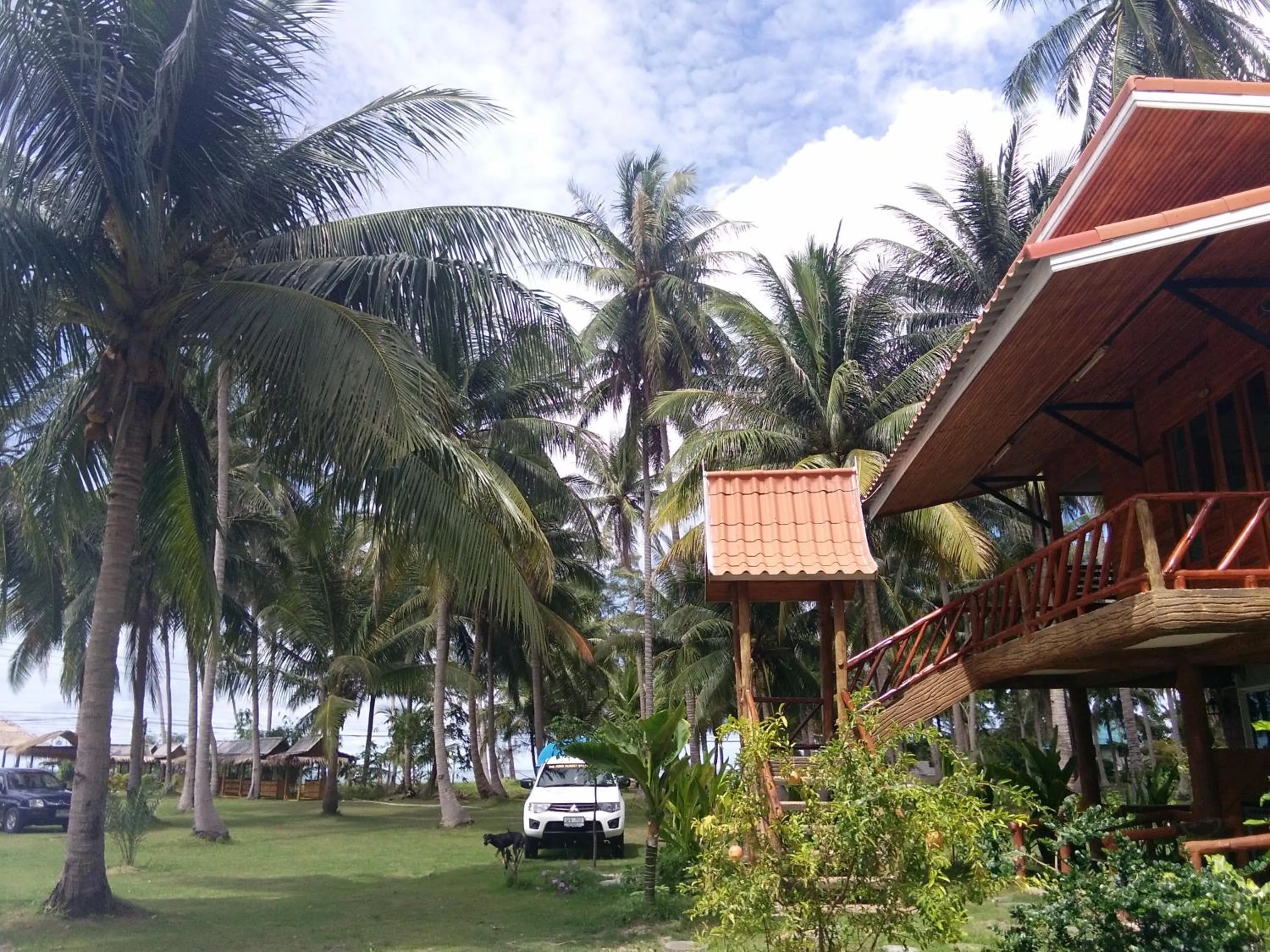 Natural landscape in The Ford SunSet Beach Resort