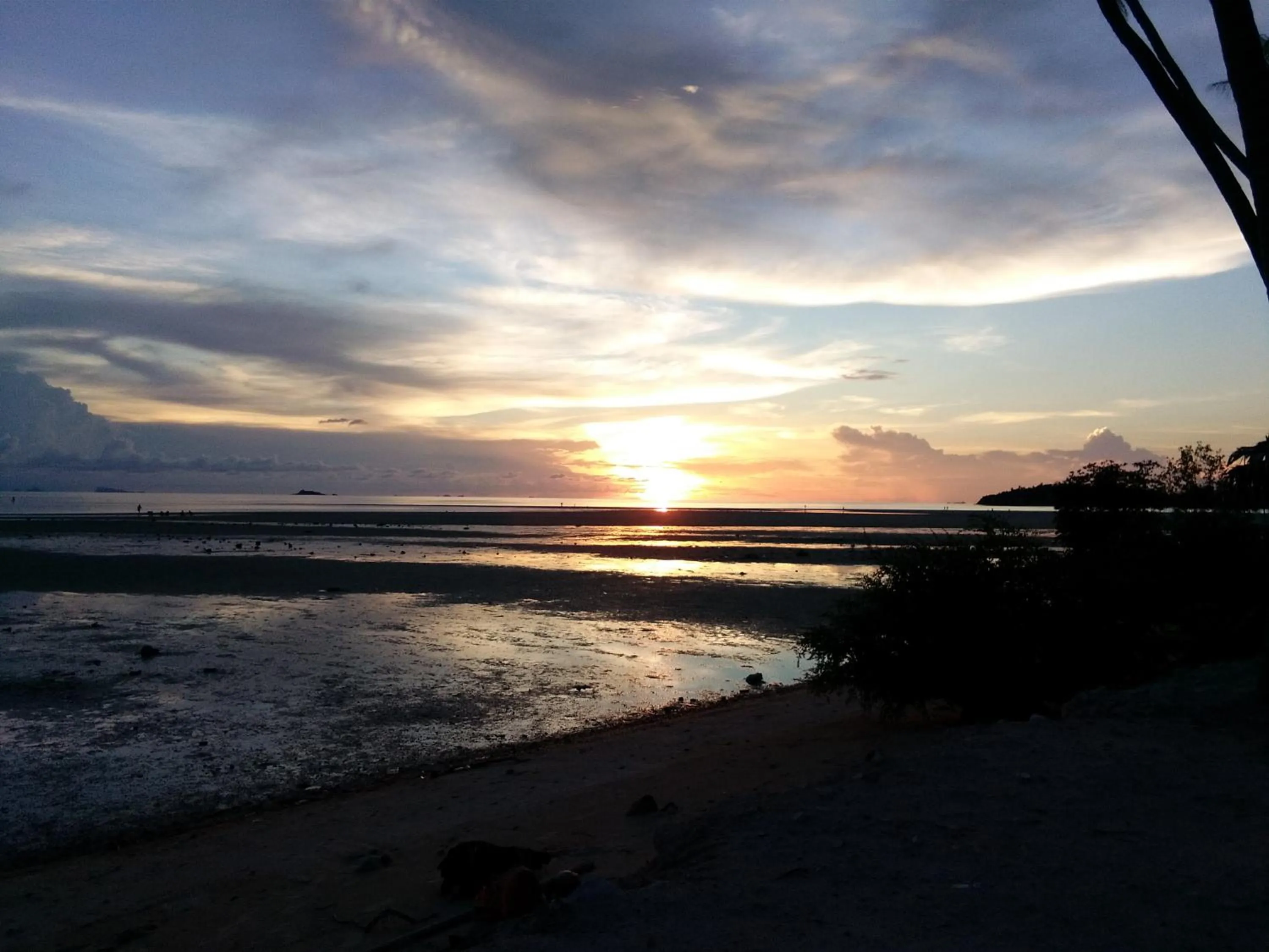 Natural landscape in Pink Easy Homes Koh Phangan