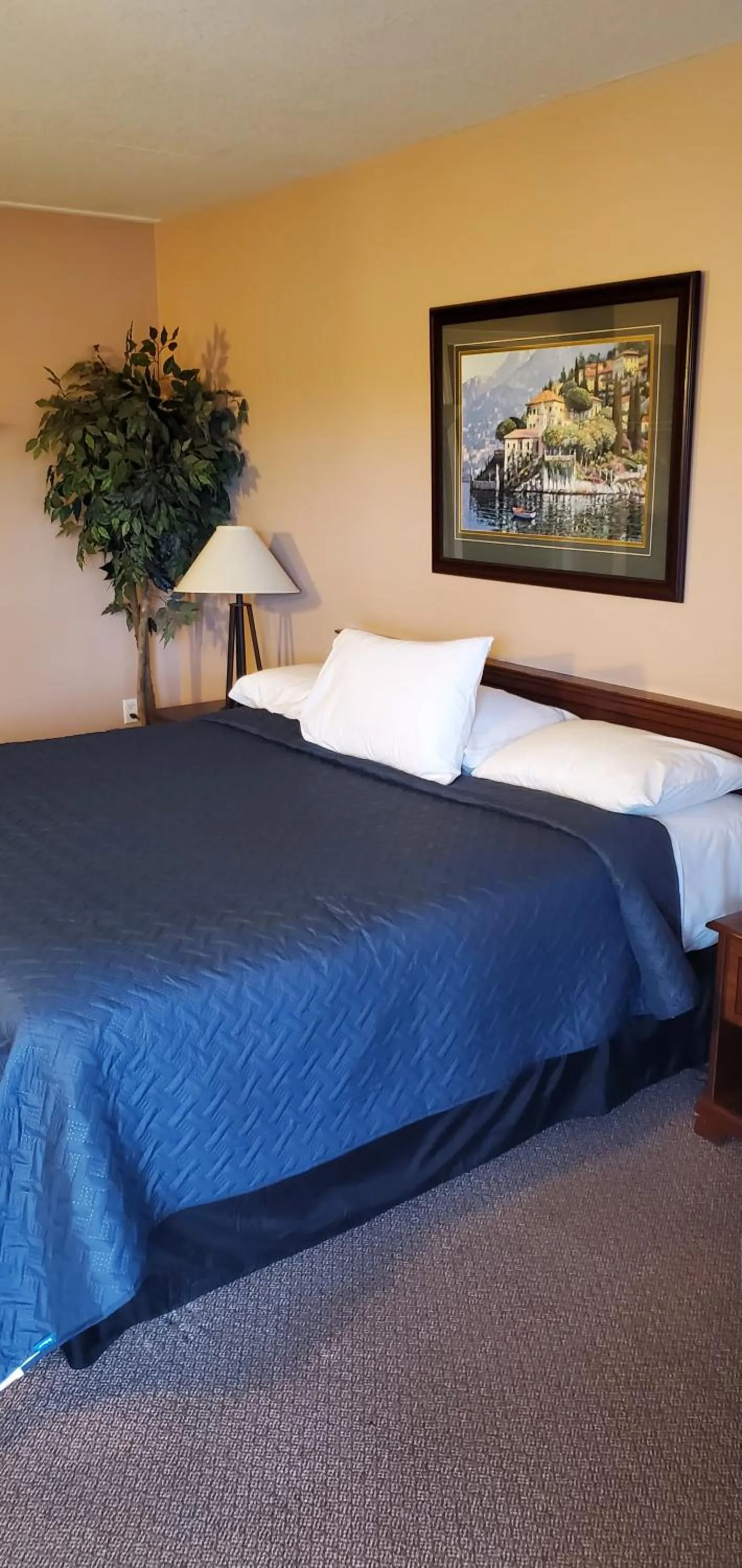 Bed in Lakeview Resort Motel