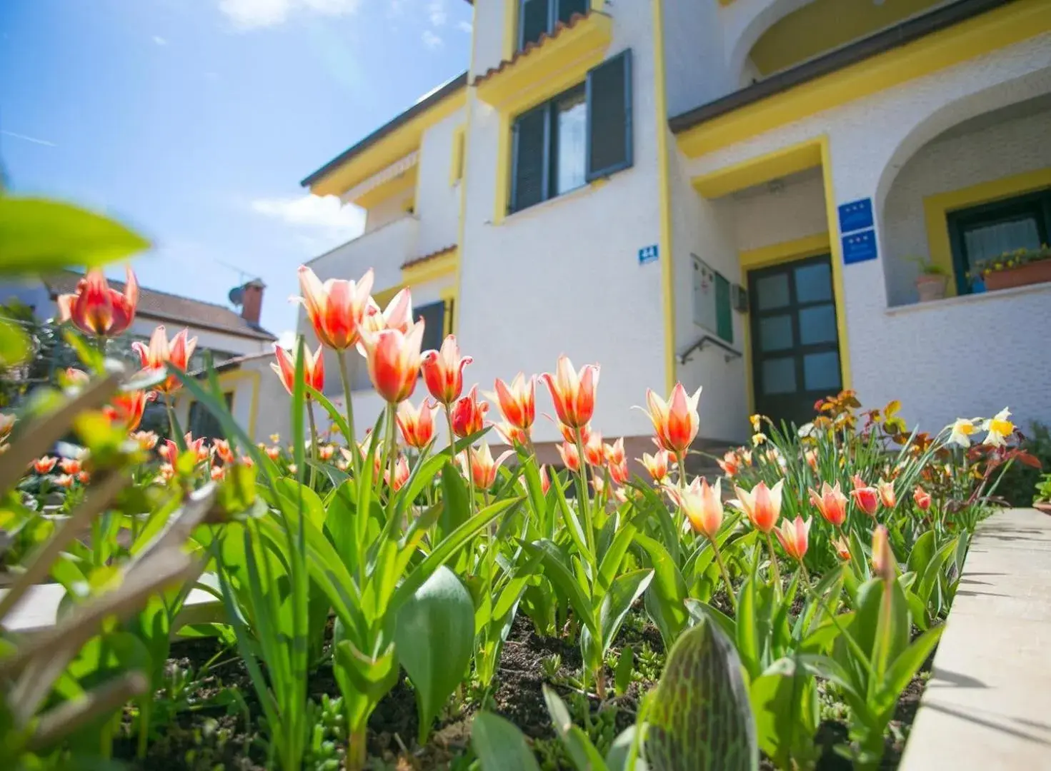 Apartments Matosevic Apartments Matosevic