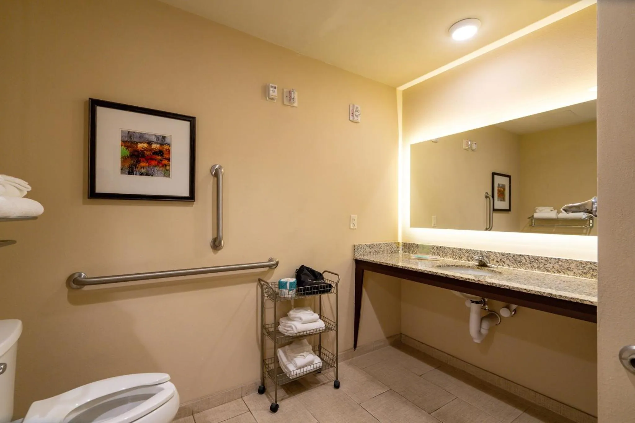 Photo of the whole room in Holiday Inn Murfreesboro by IHG