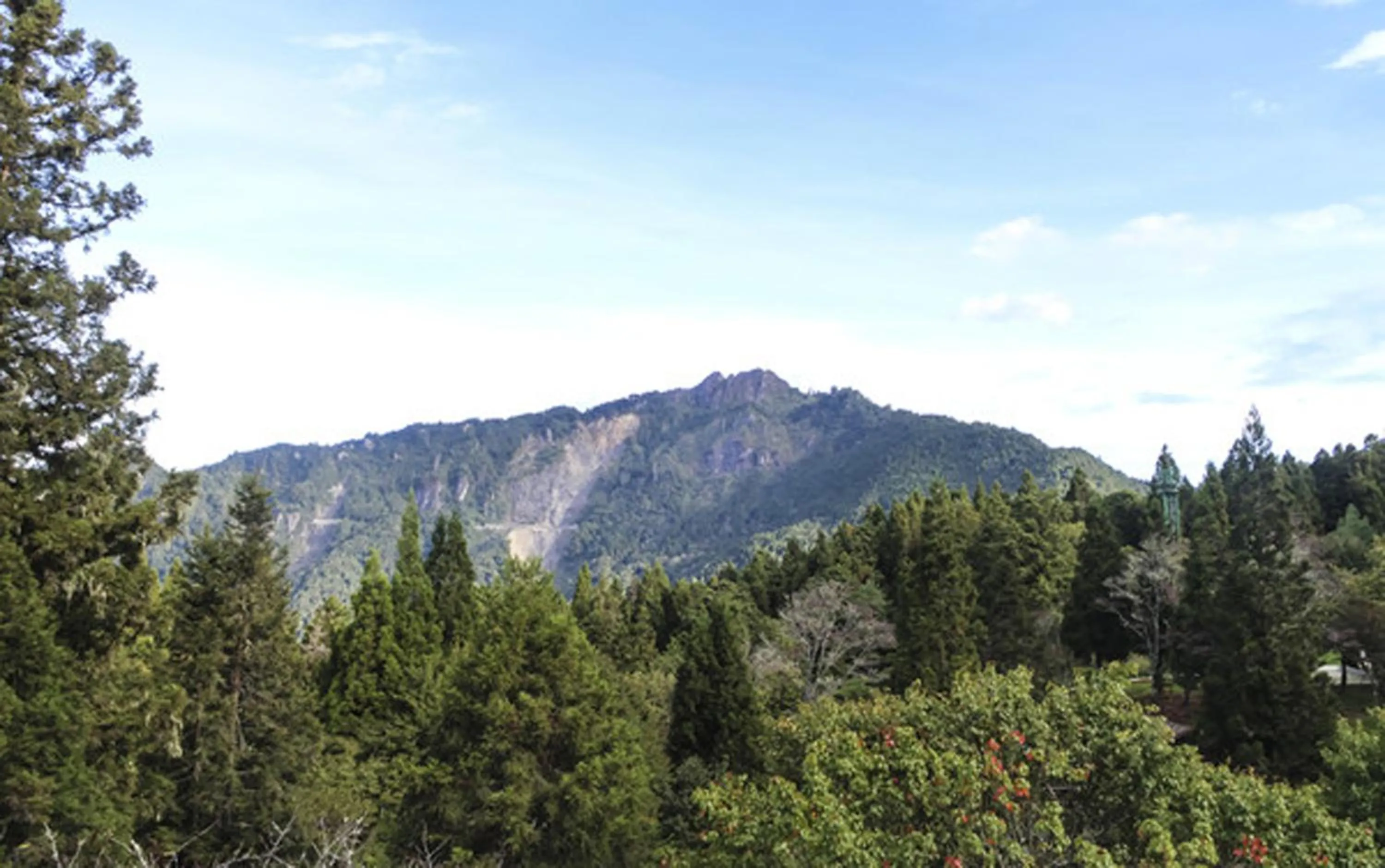 Mountain view in F Hotel - Chiayi