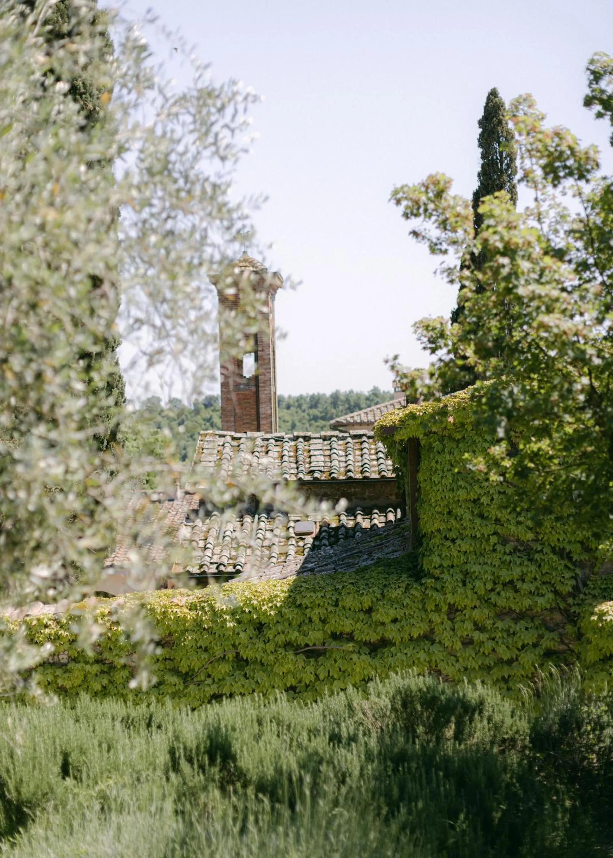 Natural landscape in Wine Resort Dievole