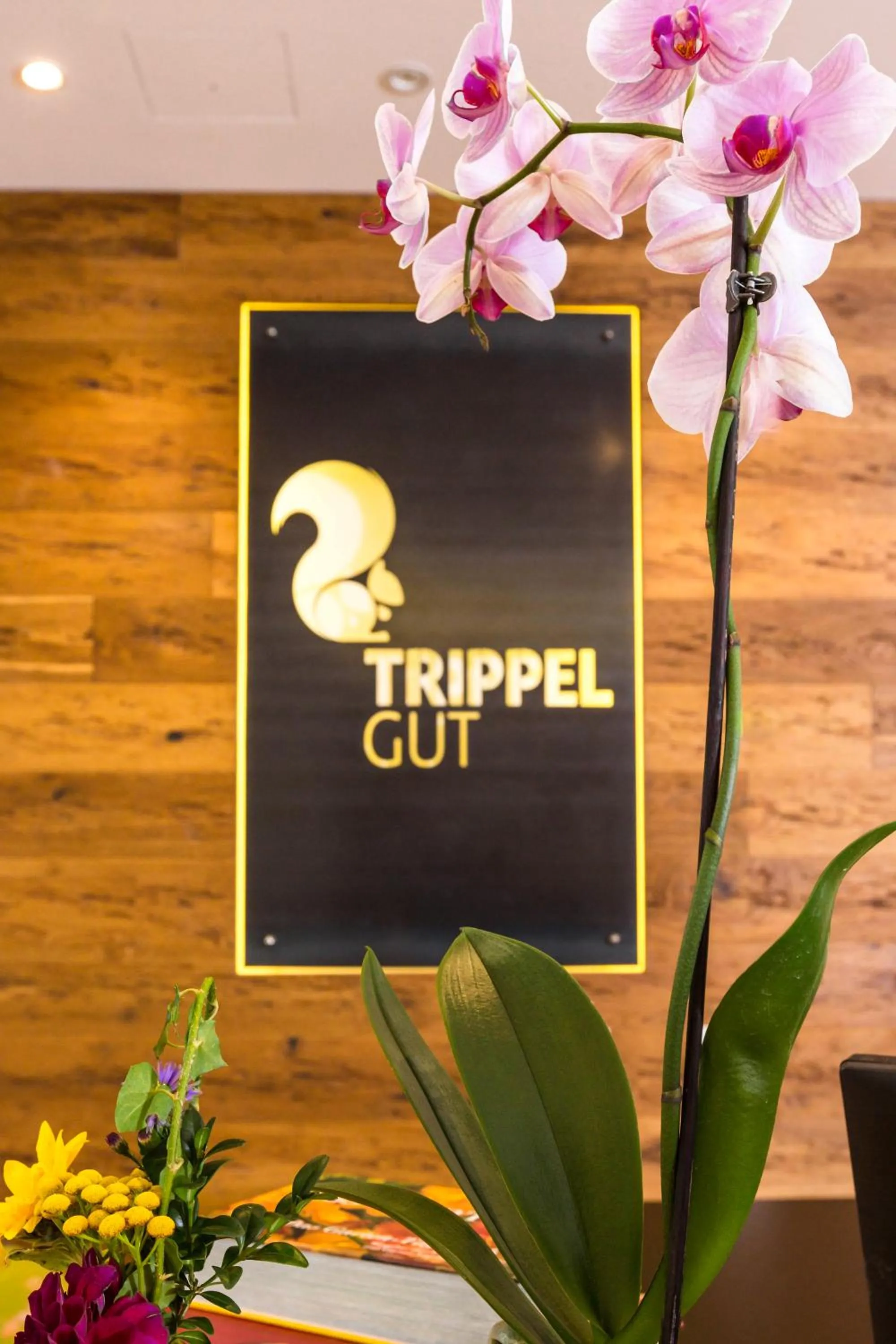 Property logo or sign in TrippelGUT - SchlafGUT