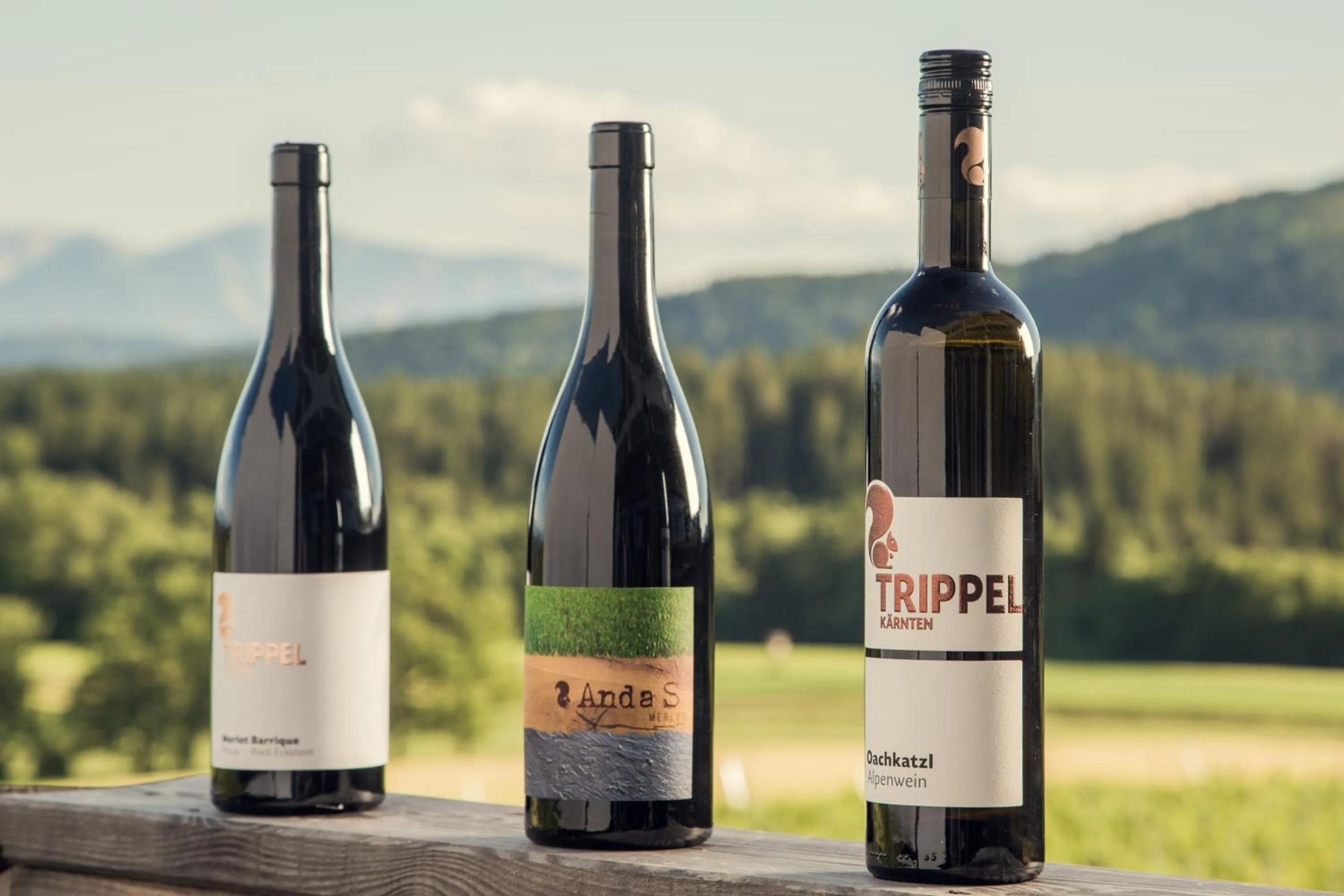 Drinks in TrippelGUT - SchlafGUT