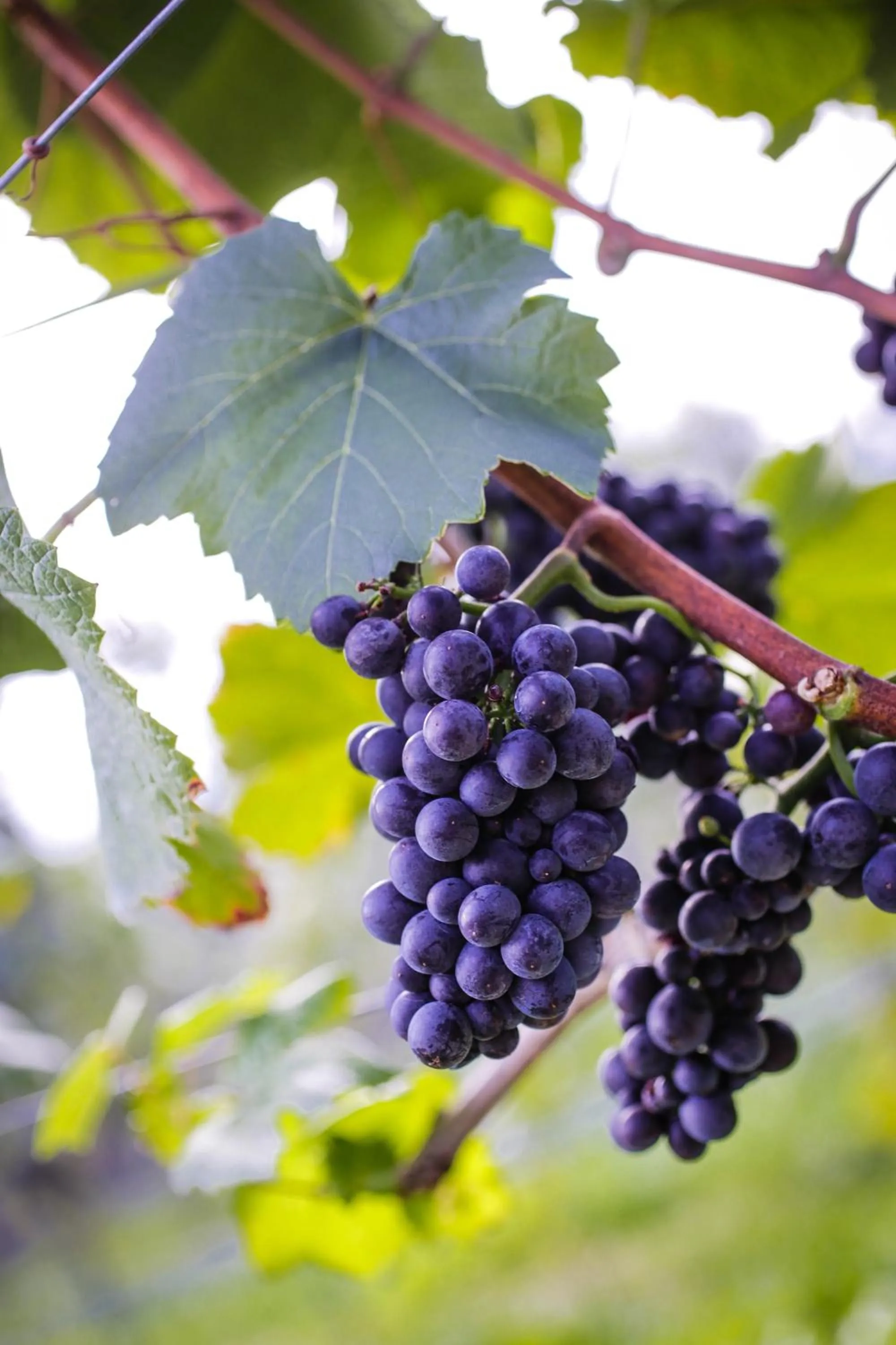 Other in TrippelGUT - SchlafGUT