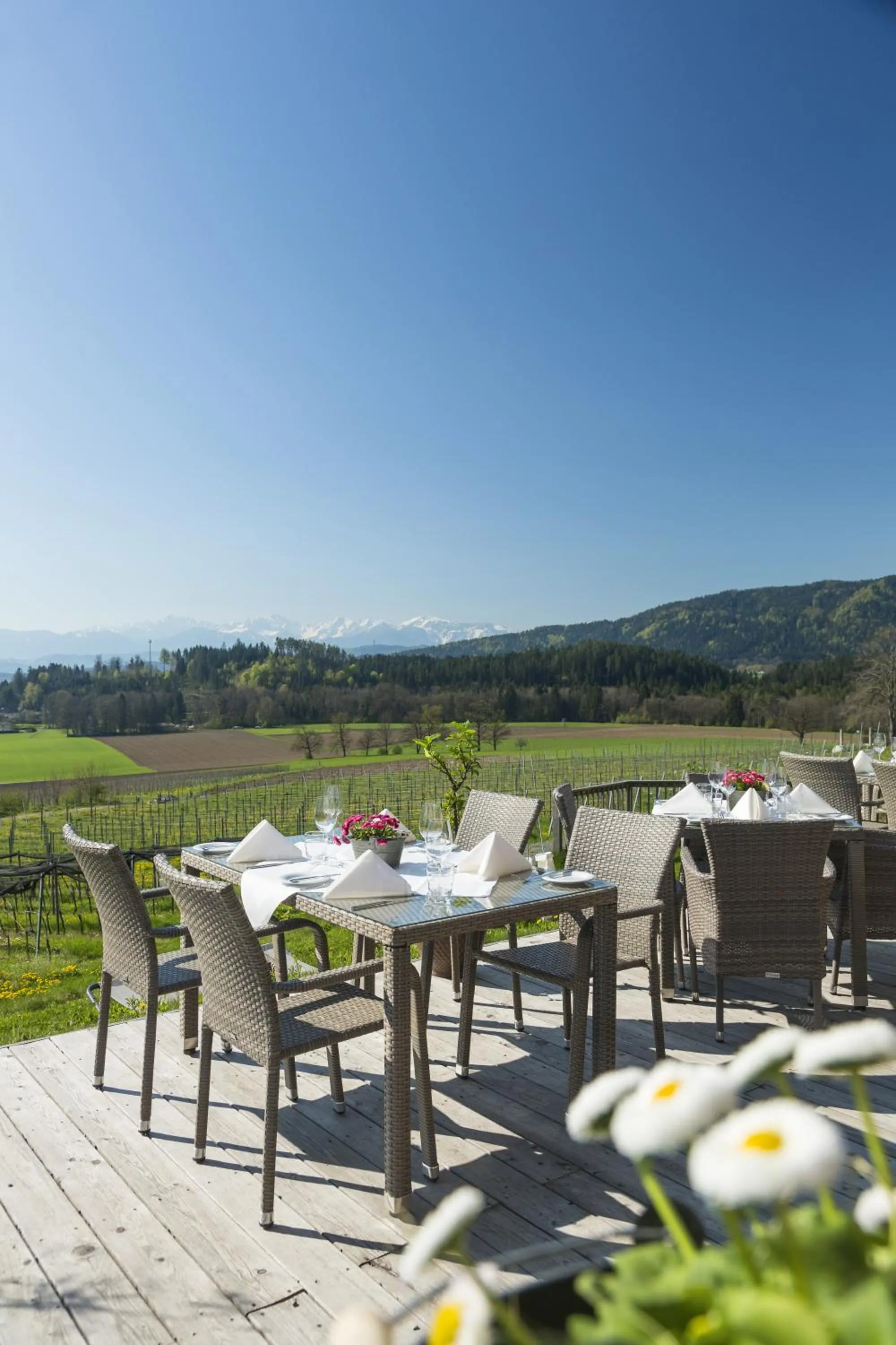 Restaurant/places to eat in TrippelGUT - SchlafGUT