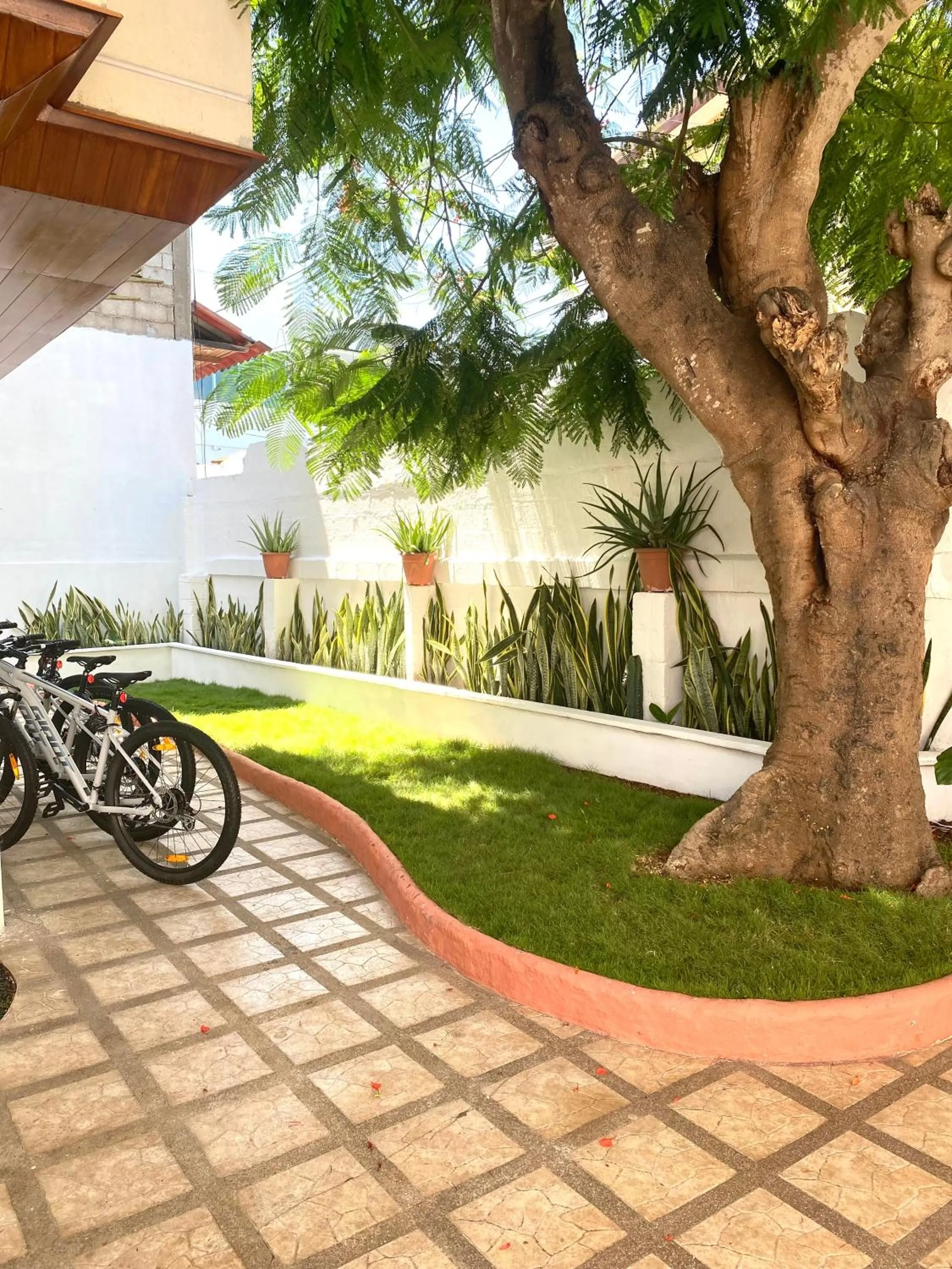 Cycling in El Barranco Galapagos