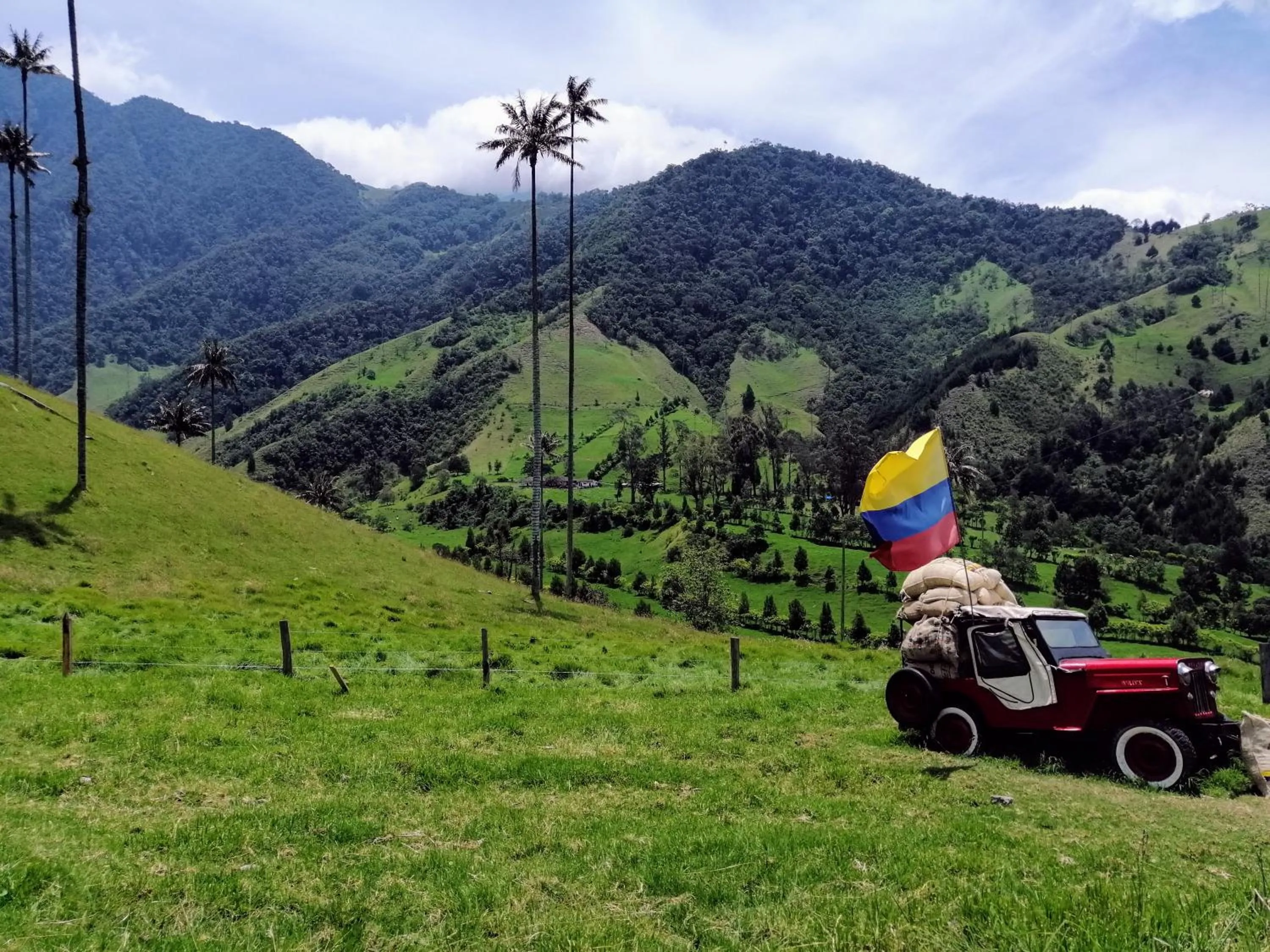 Natural landscape in Hotel Mocawa Resort