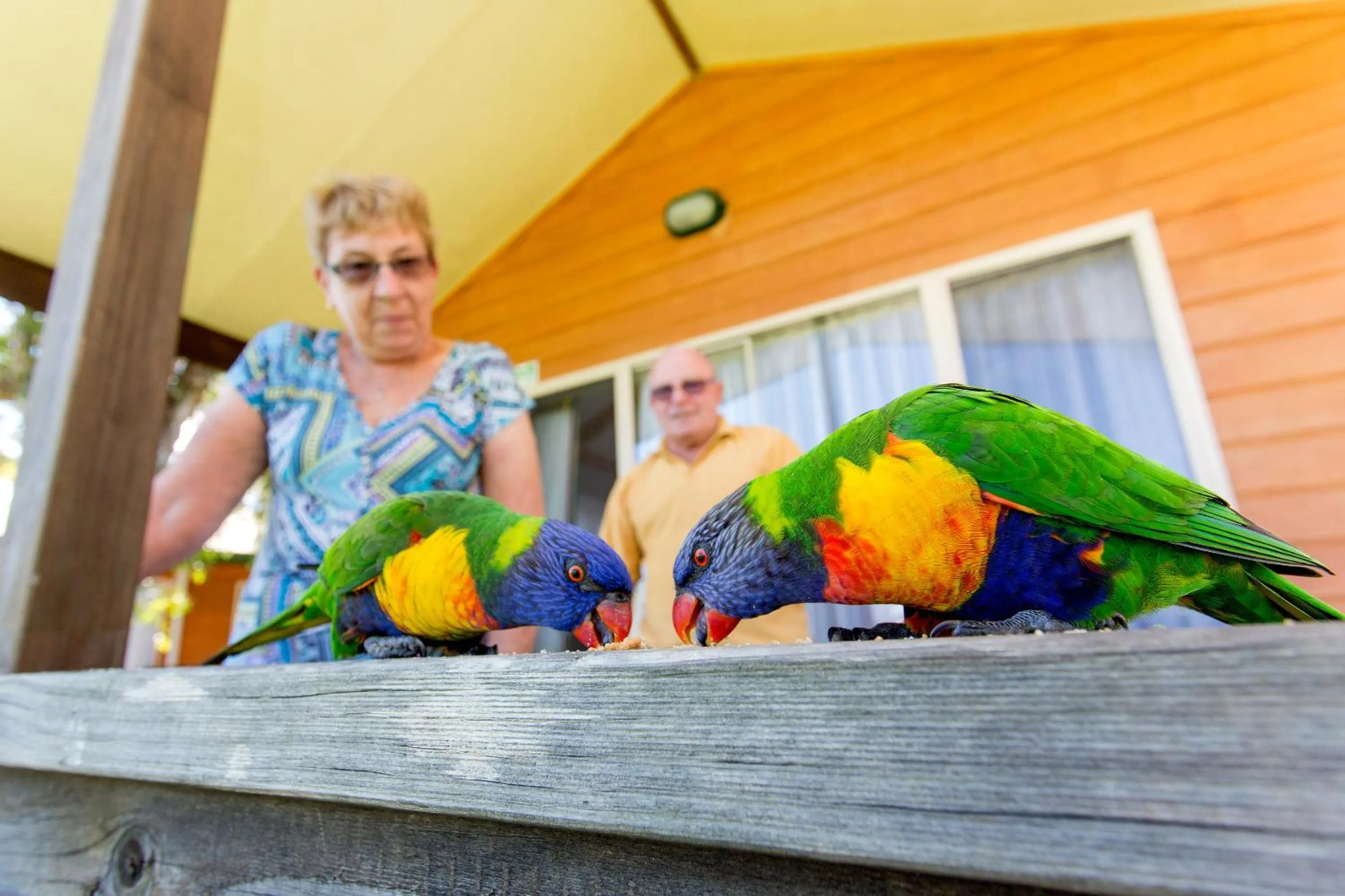 Property building in BIG4 Batemans Bay at Easts Riverside Holiday Park