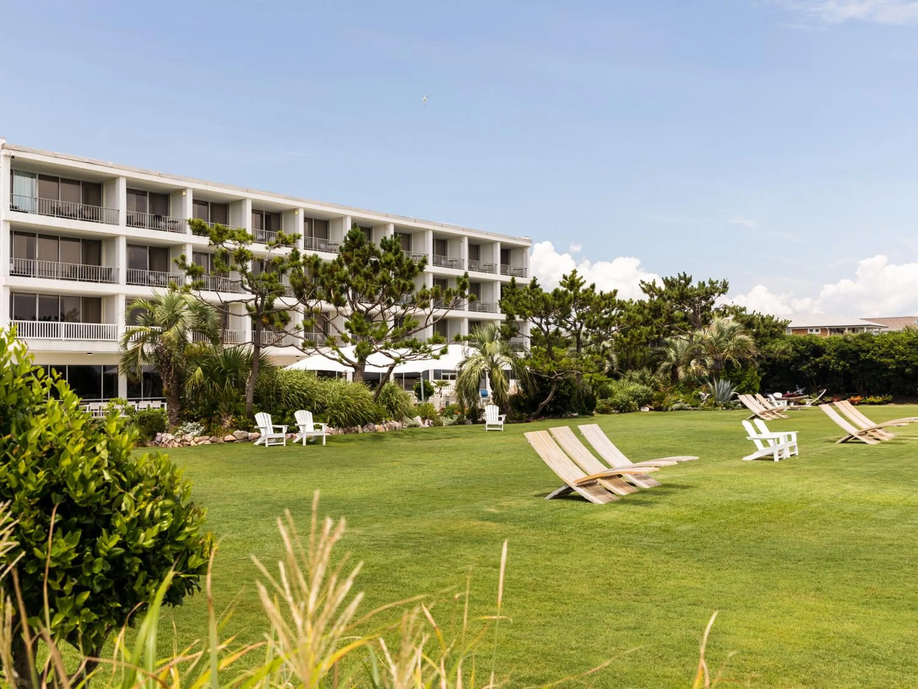 Natural landscape in Trailborn Surf & Sound, Outdoor Collection by Marriott Bonvoy