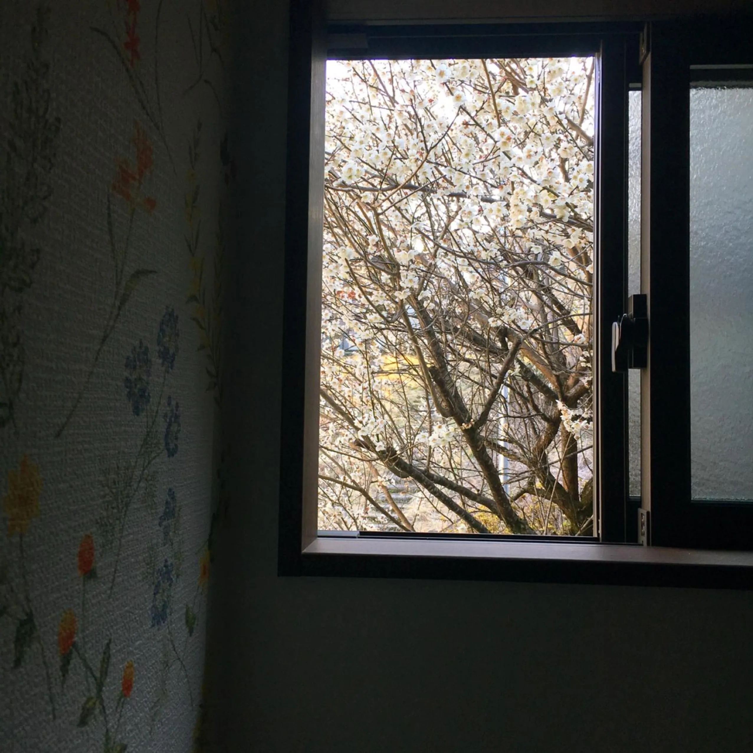 Stay Nikko Guesthouse