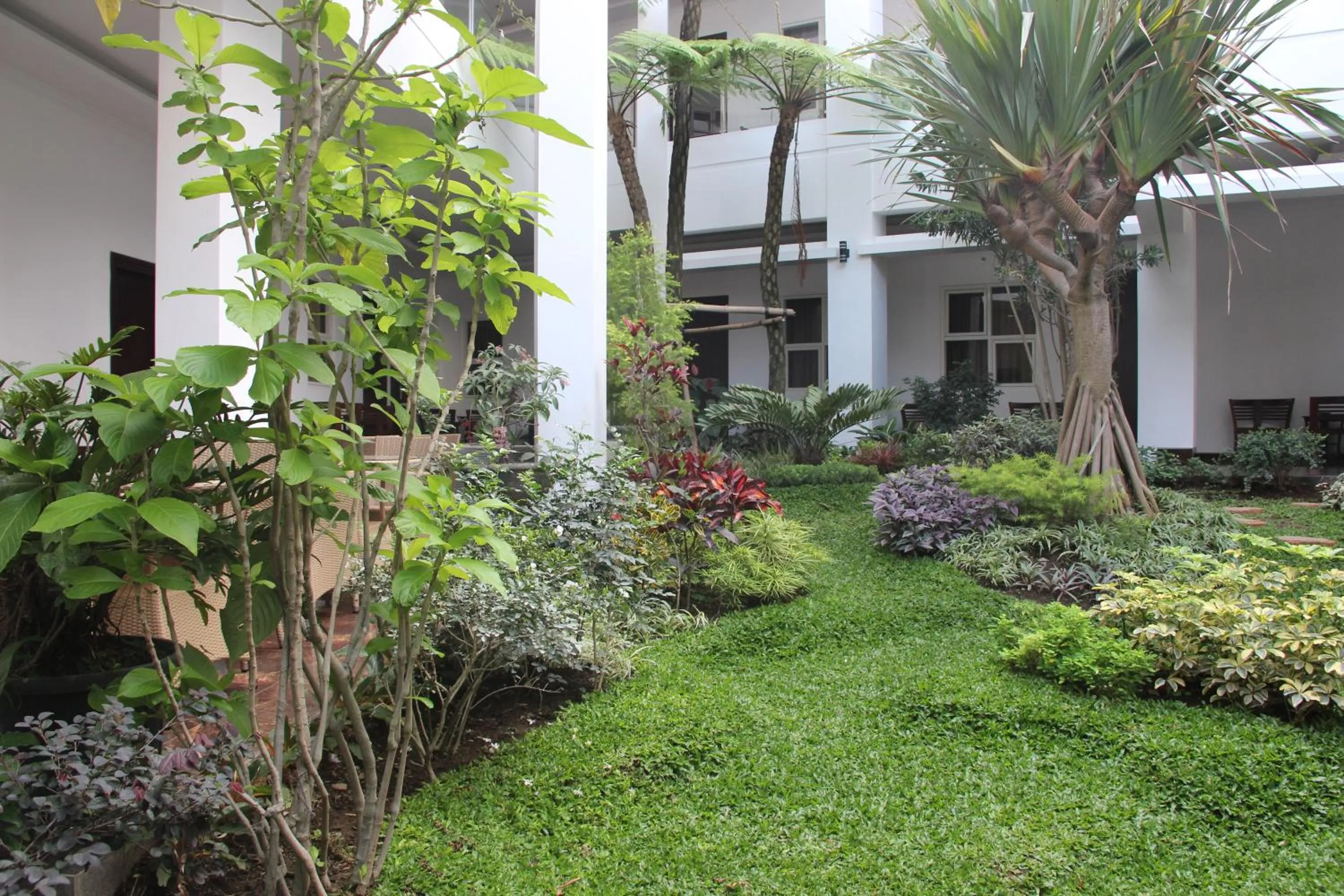 Garden view in Tlogomas Guest House