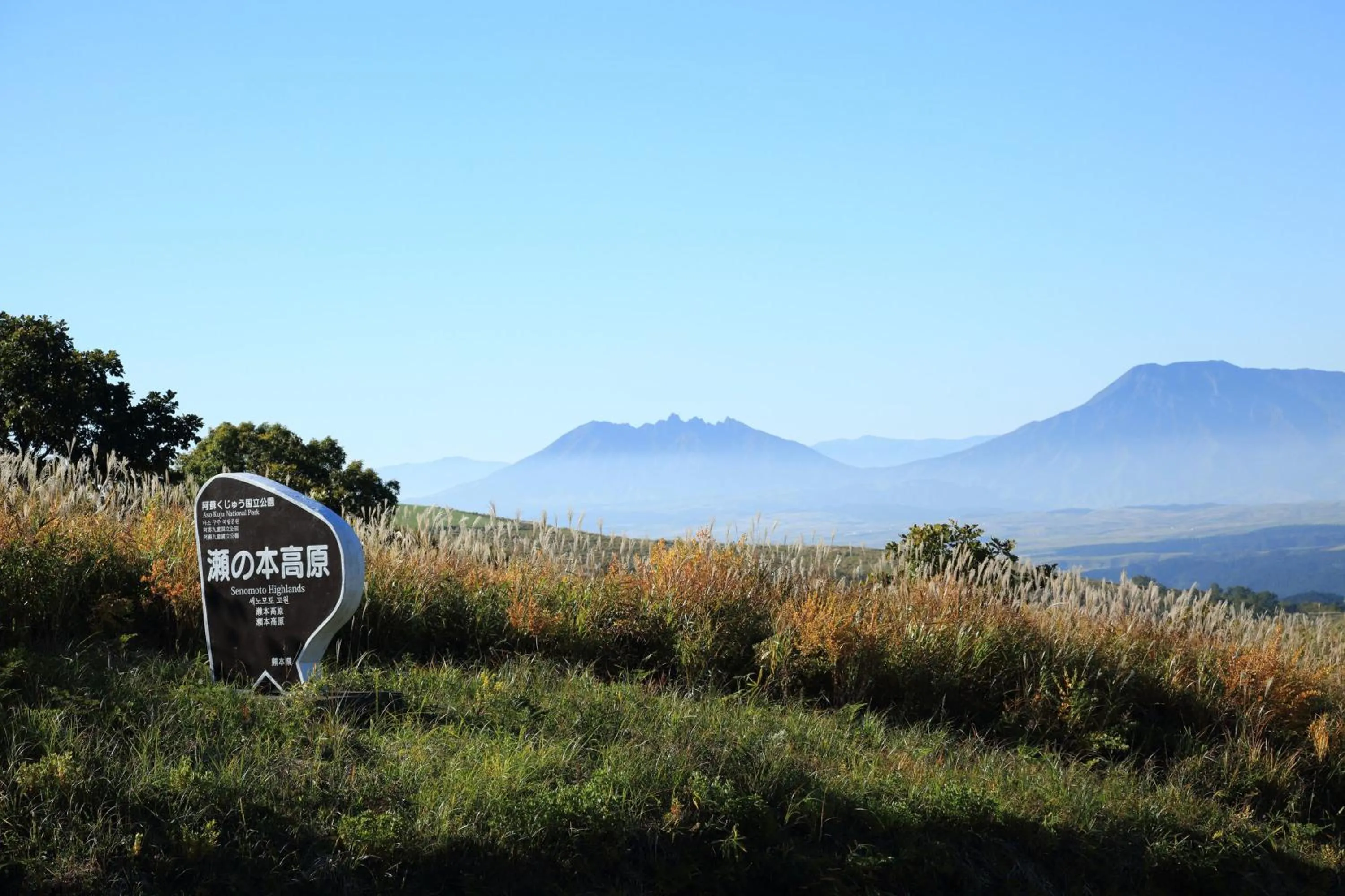 Other in Spagreenness