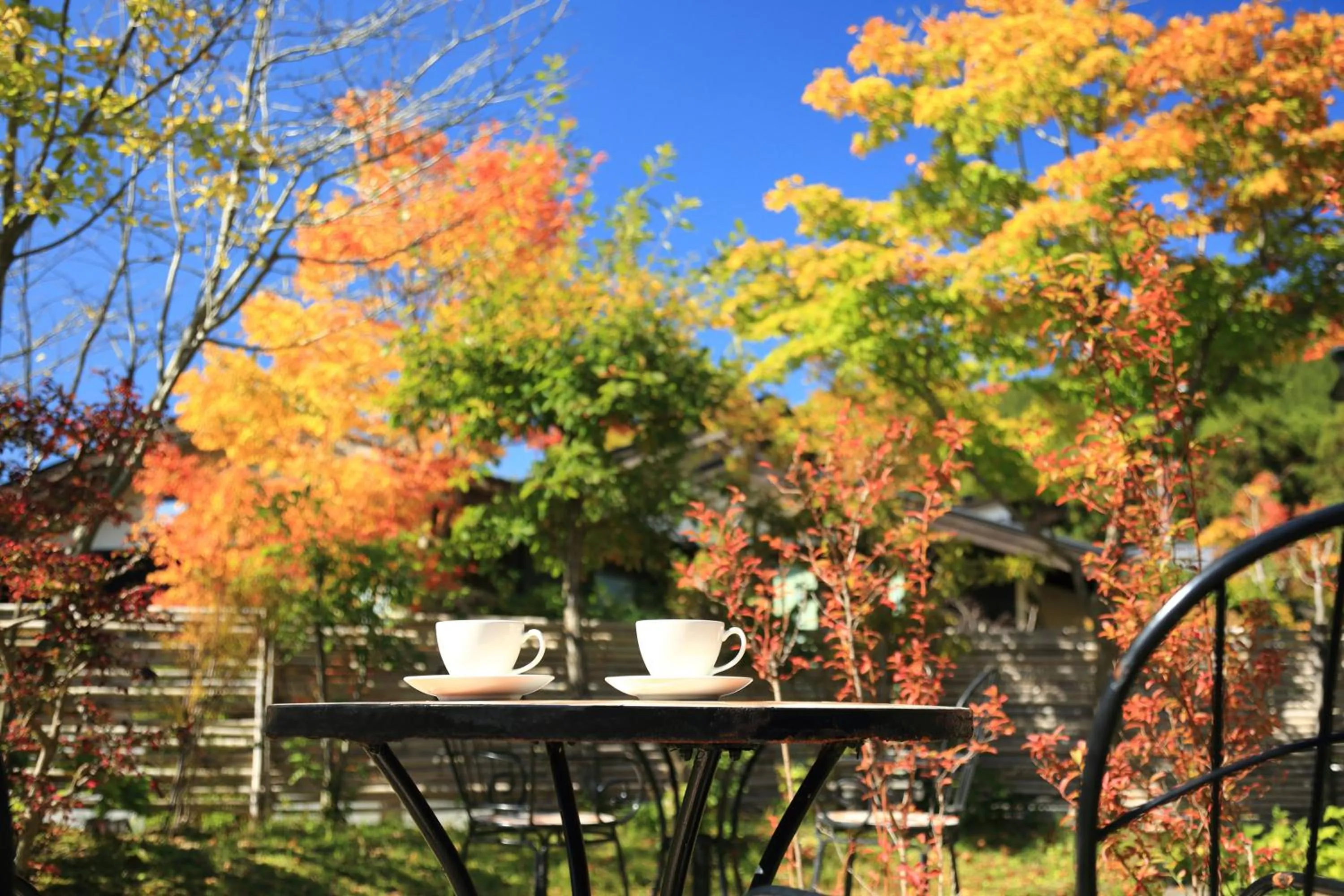 View (from property/room) in Spagreenness