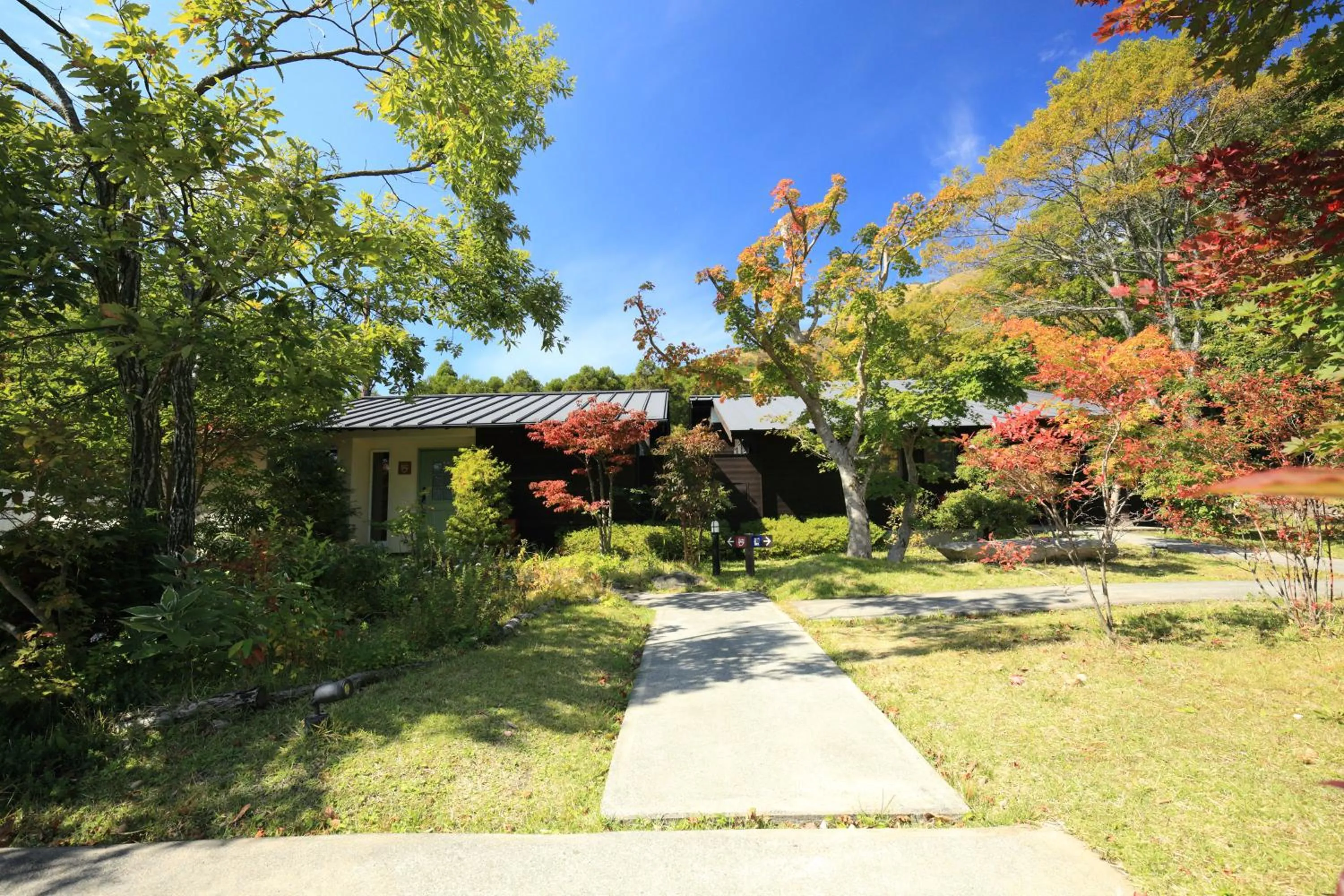 Garden in Spagreenness