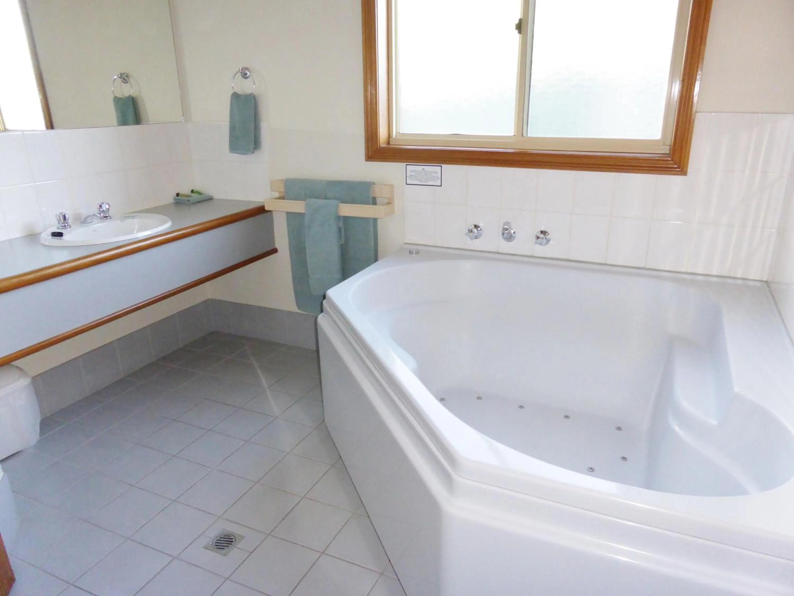 Bathroom in Victoriana Motor Inn