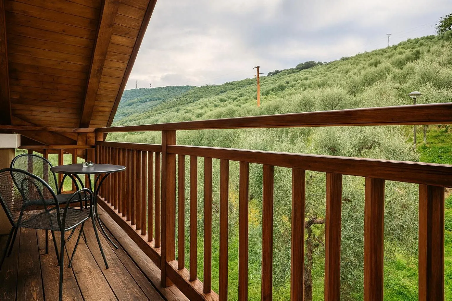 View (from property/room) in Hotel Benacus Panoramic