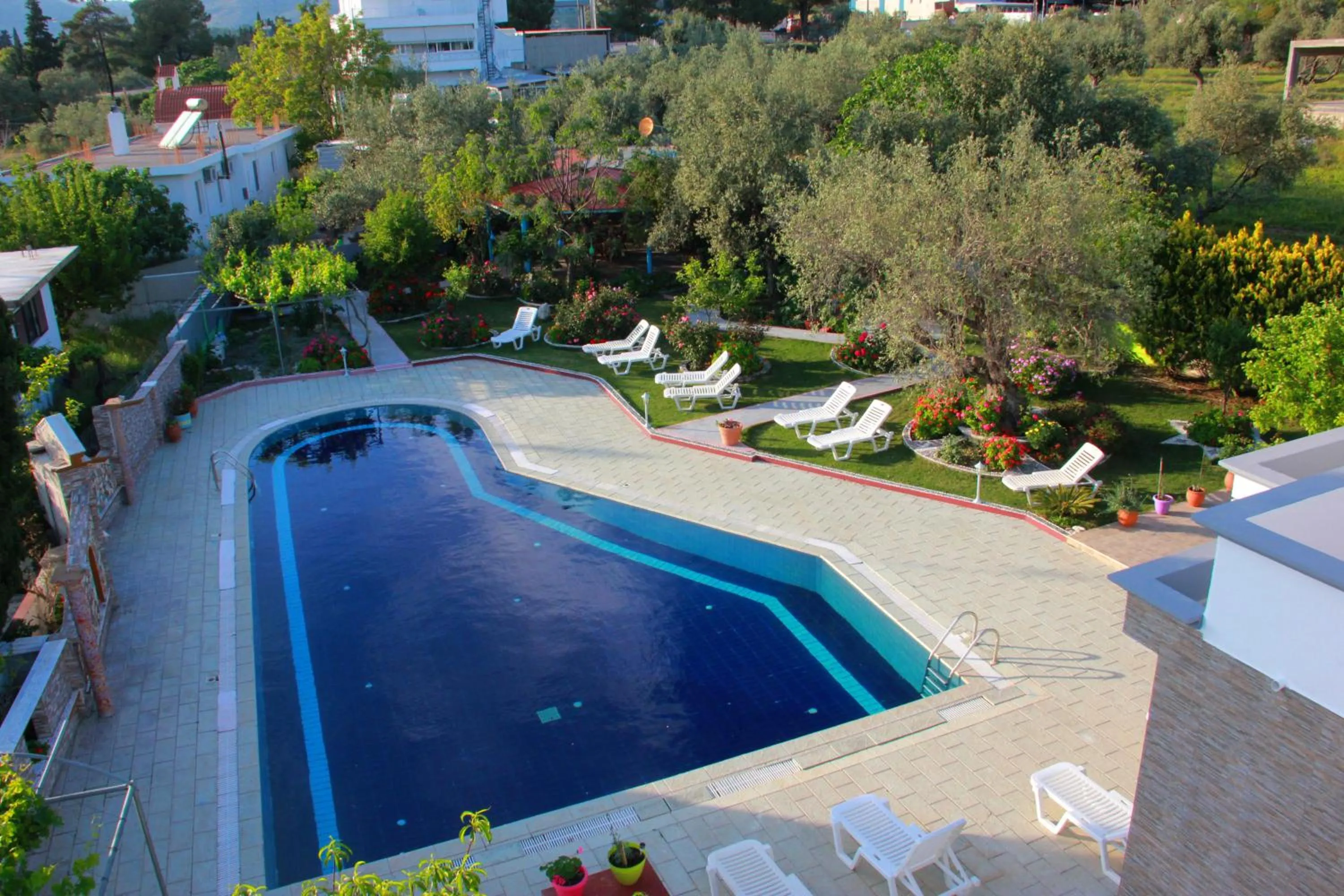 Swimming pool in Hotel Dimitra Sun