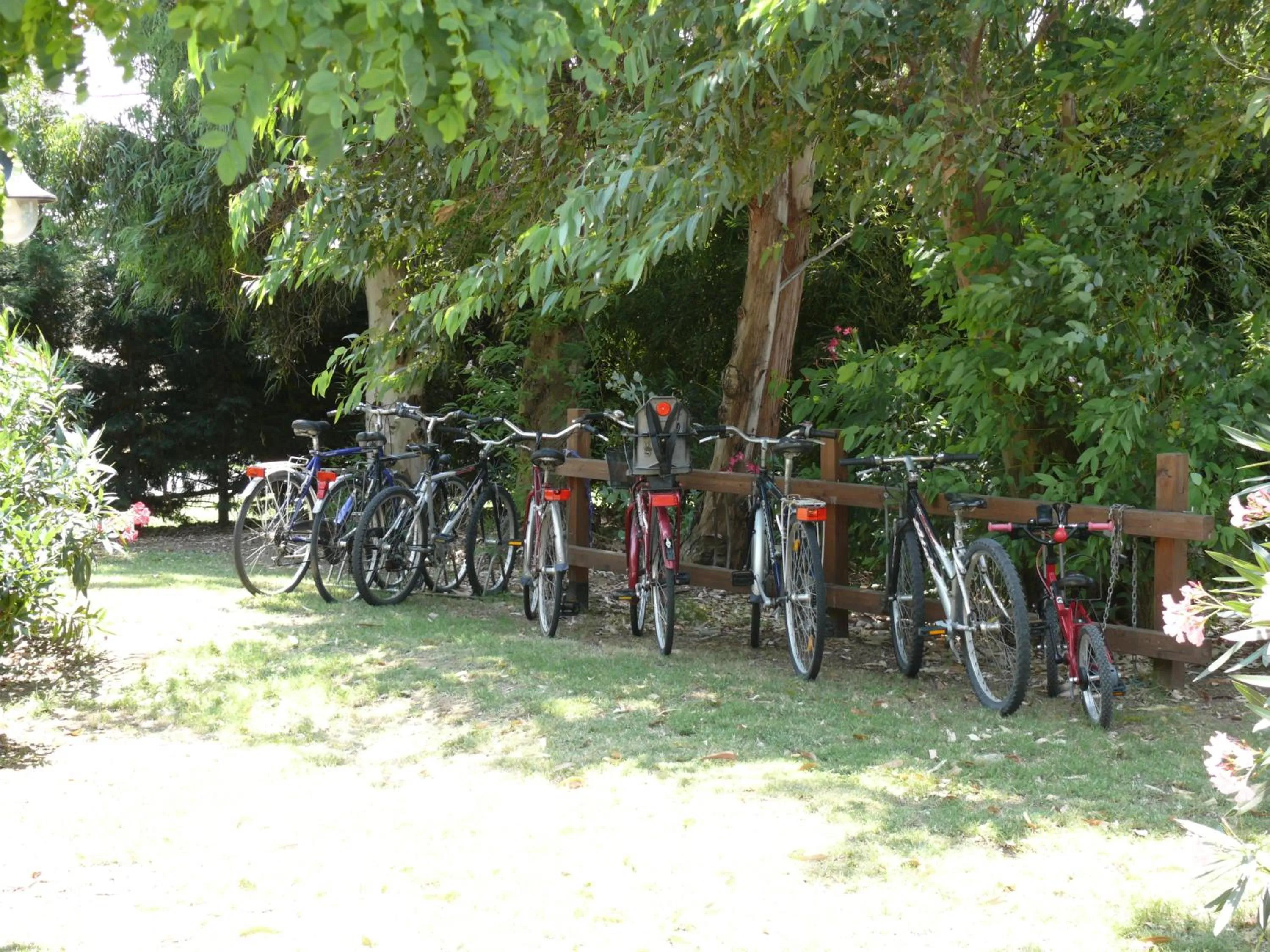 Cycling in Agriturismo Le Pescine