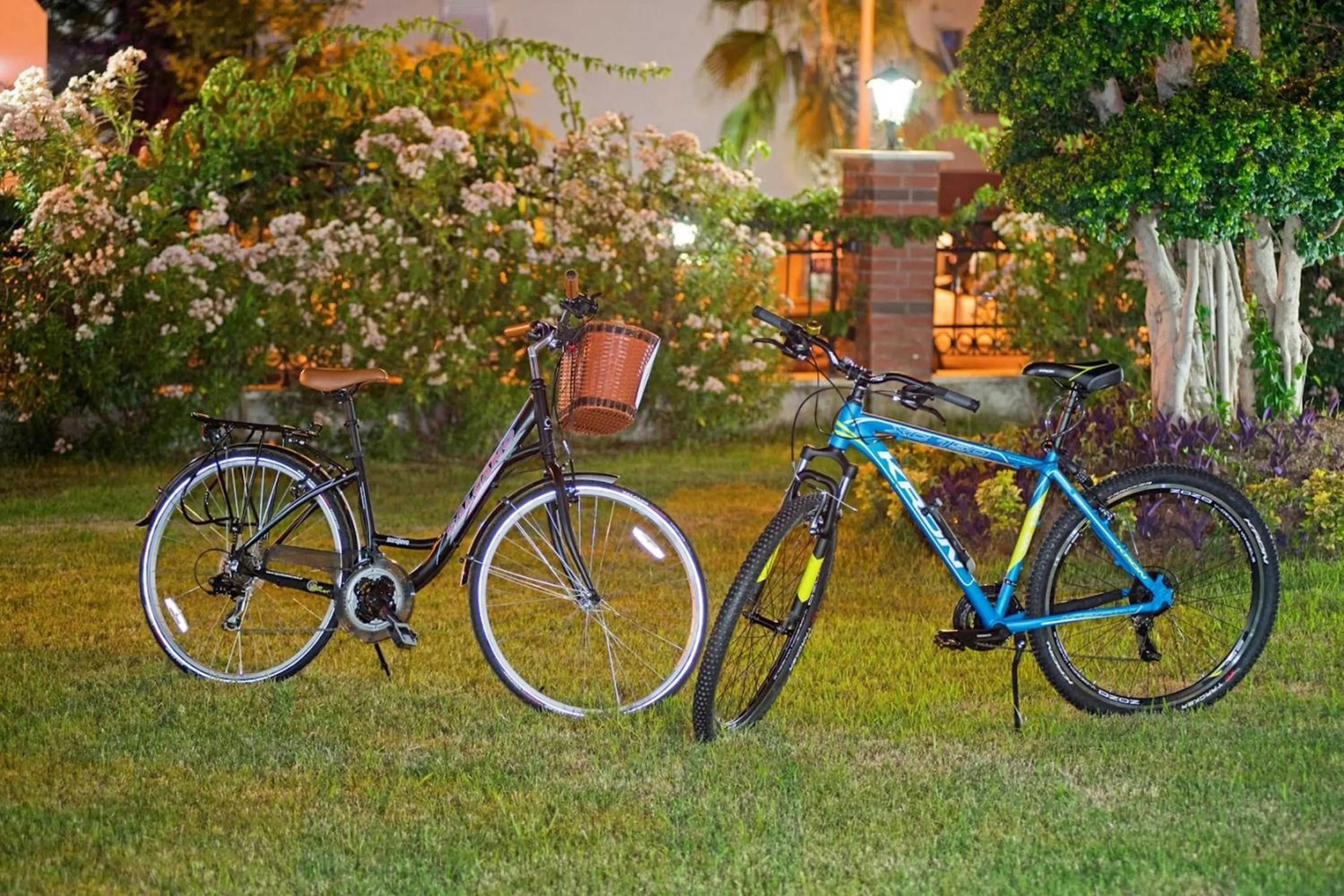 Natural landscape in Onkel Rada Apart Hotel