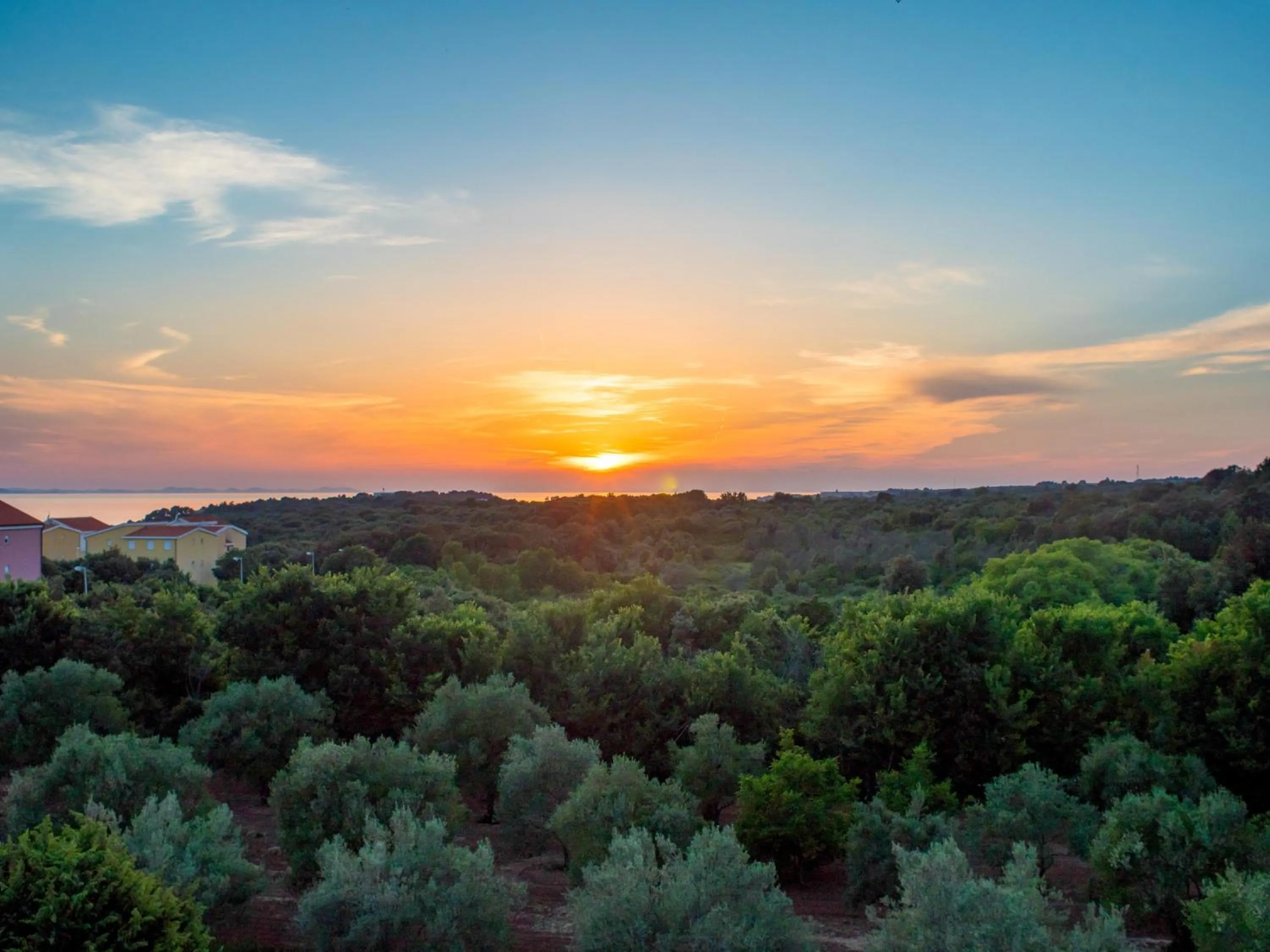 Sea view in Aparthotel Plat