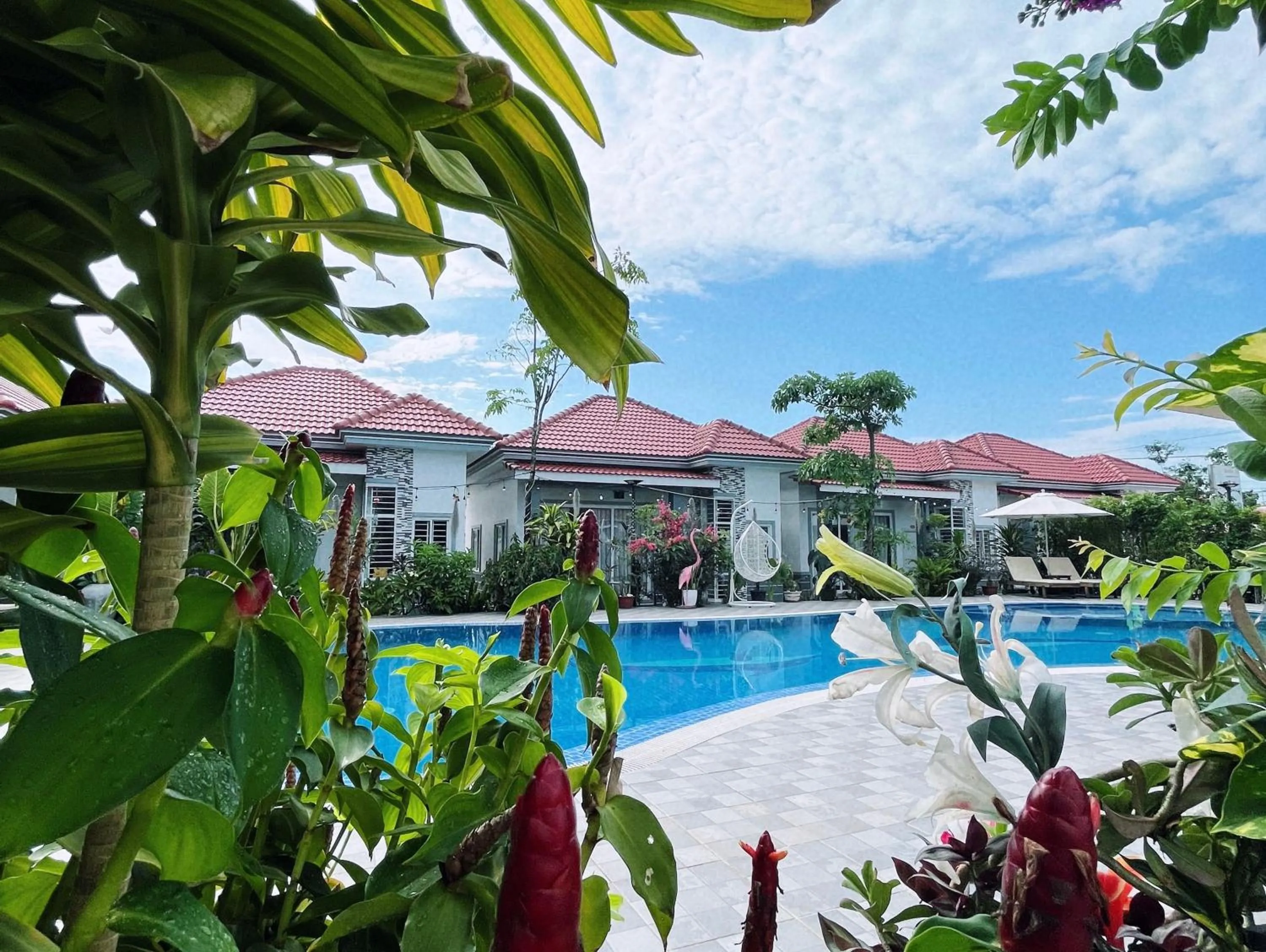 Property building in Kampot Orkide Boutique