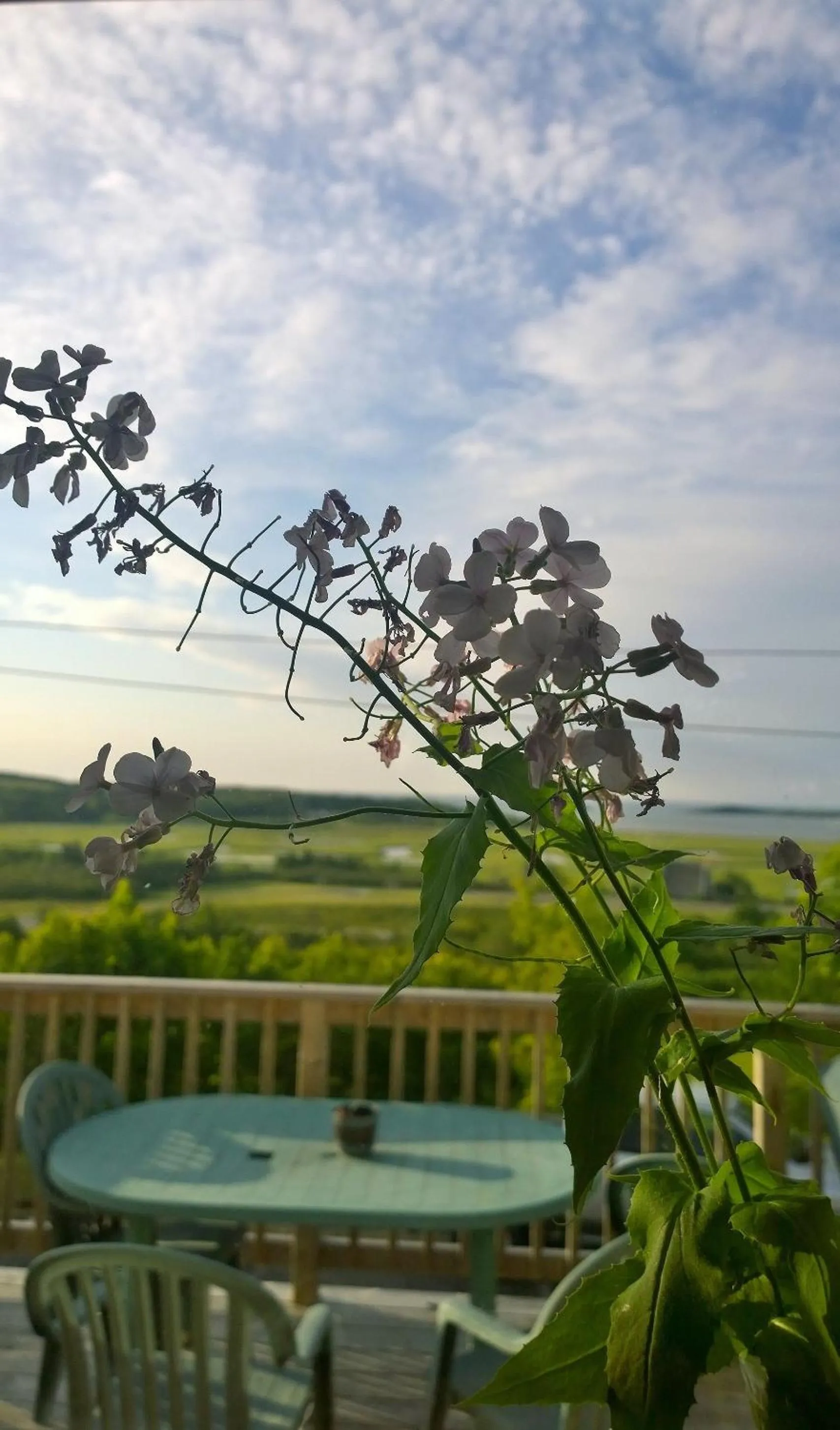 Summer in Admiral's Quay Motel & Suites