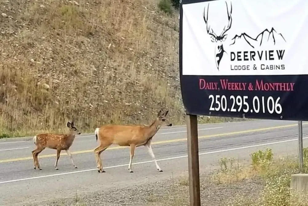 Deerview Lodge & Cabins - Princeton BC