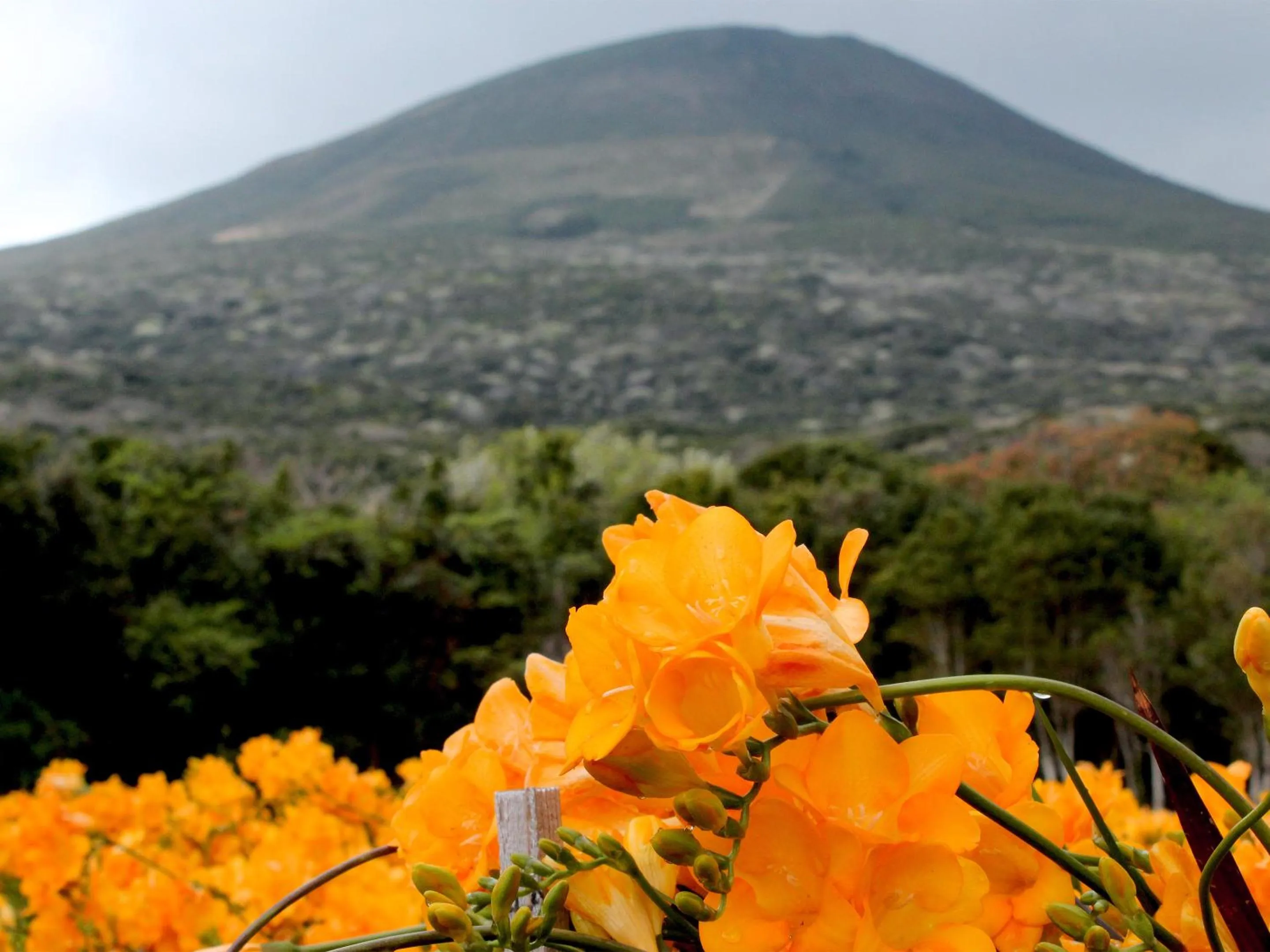 Off site in Mantenbo