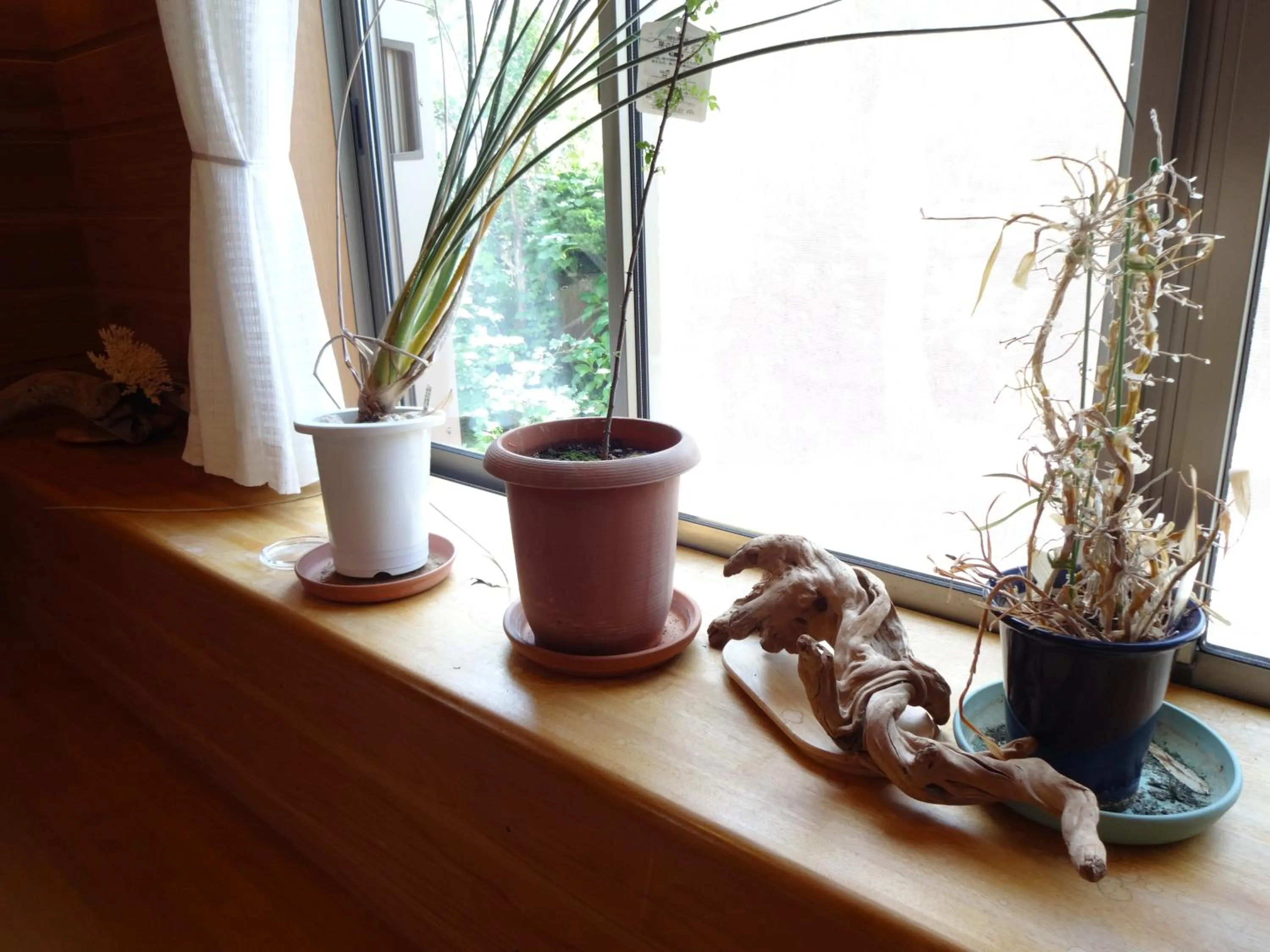 Decorative detail in Mantenbo