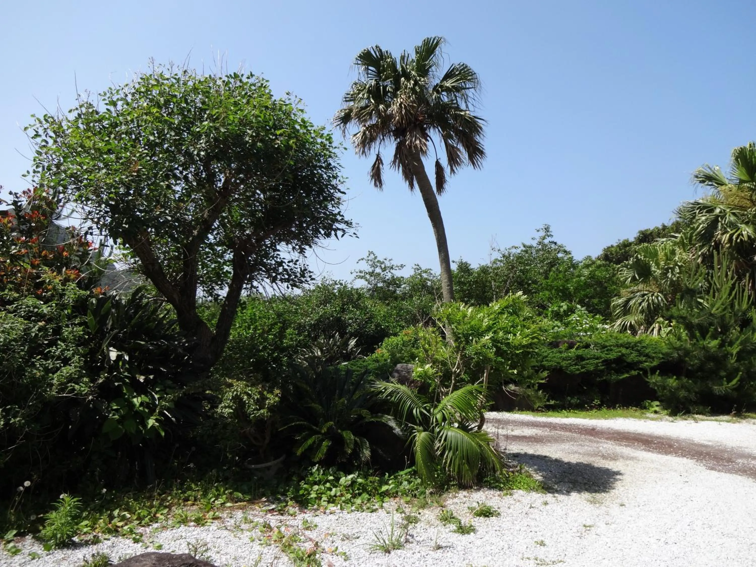 Natural landscape in Mantenbo