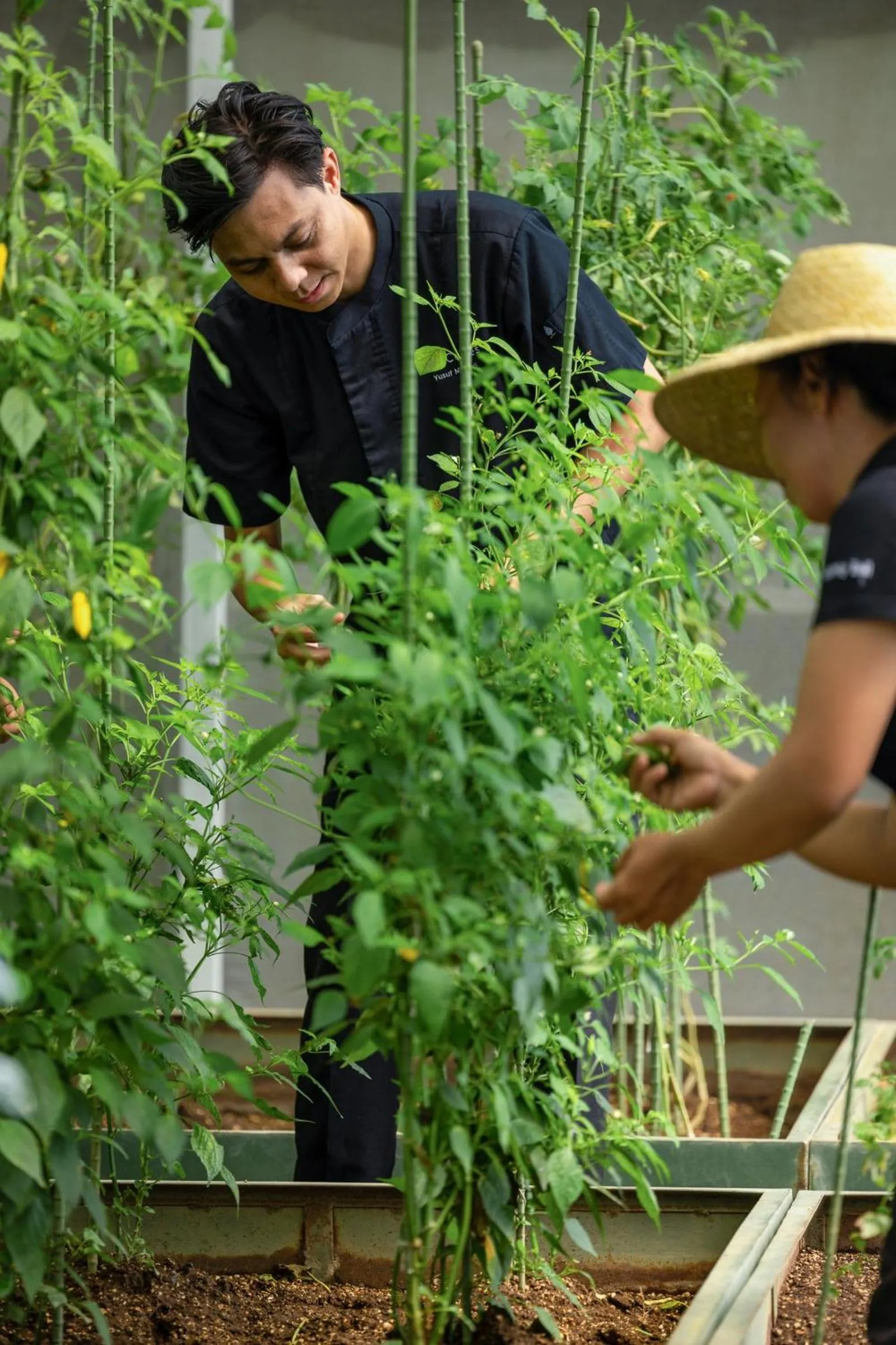 Natural landscape in CasCades Suites