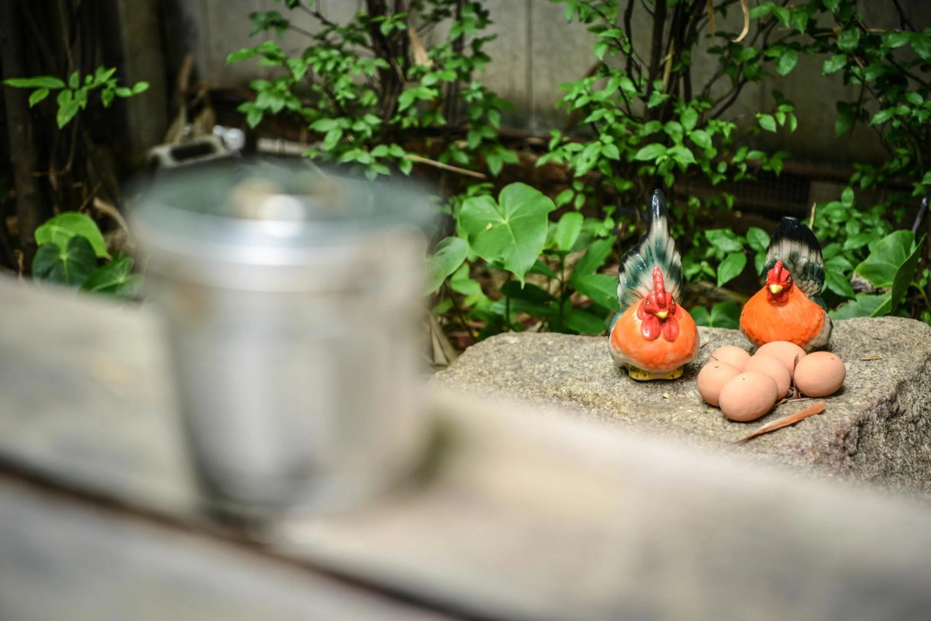 Garden in The Cube Hostel Silom