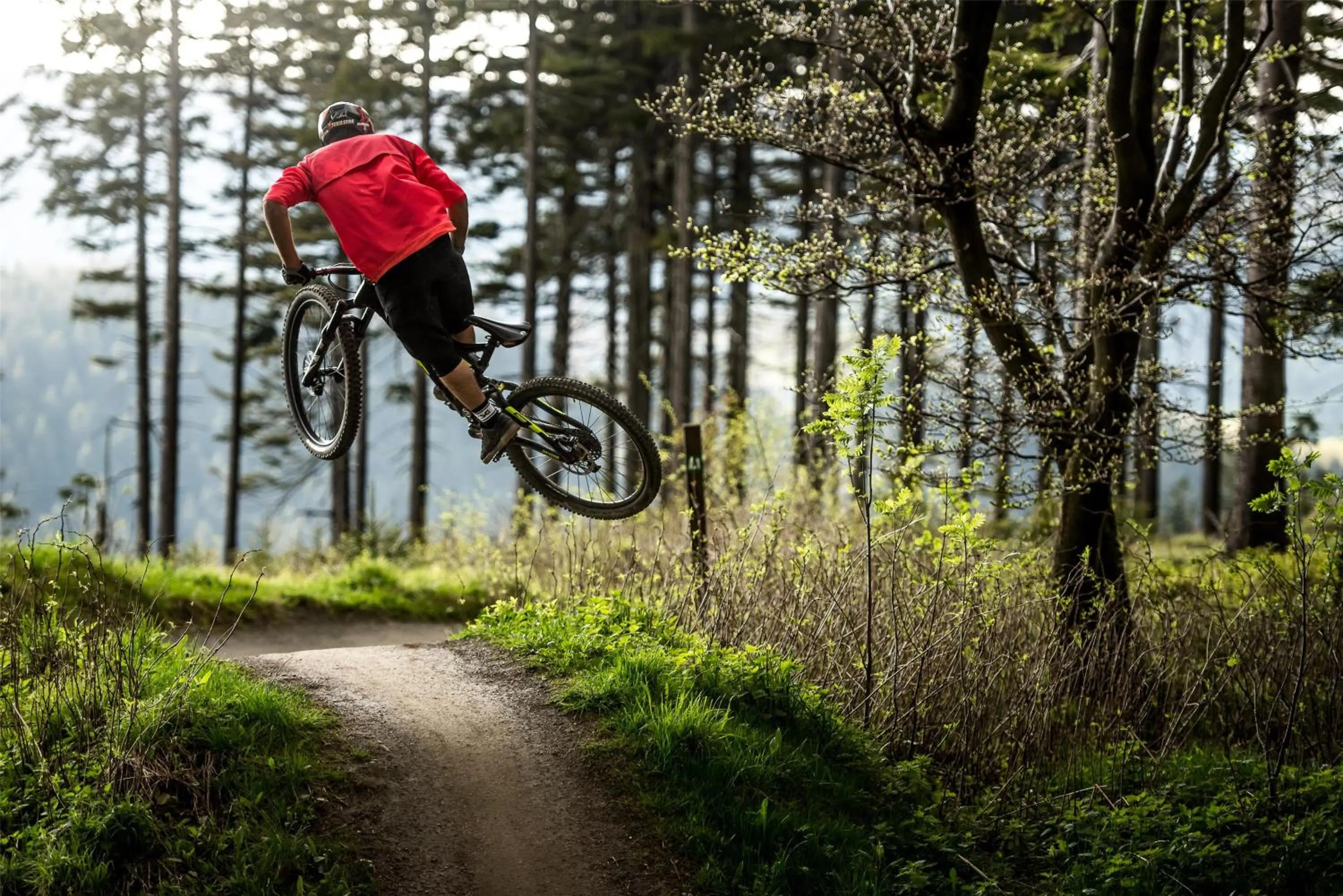 Nearby landmark in Mountain View Hotel Willingen, BW Signature Collection